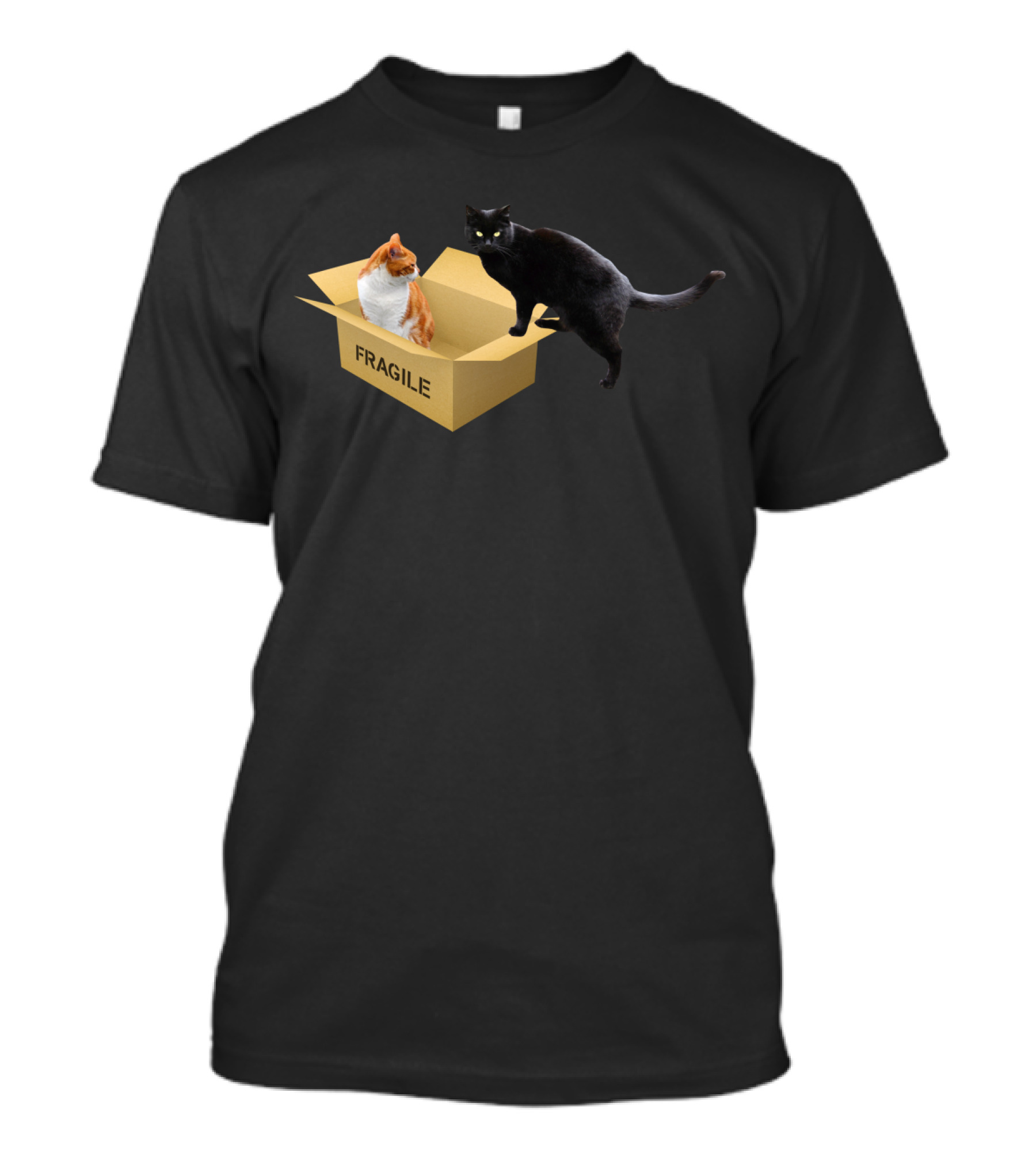 FRAGILE CATS IN A BOX T-Shirt