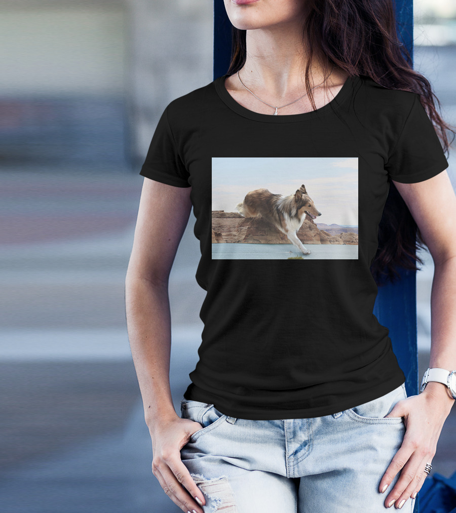 Aquilo Que Eu Sei Running Collie Over Desert Canyon Landscape T-Shirt