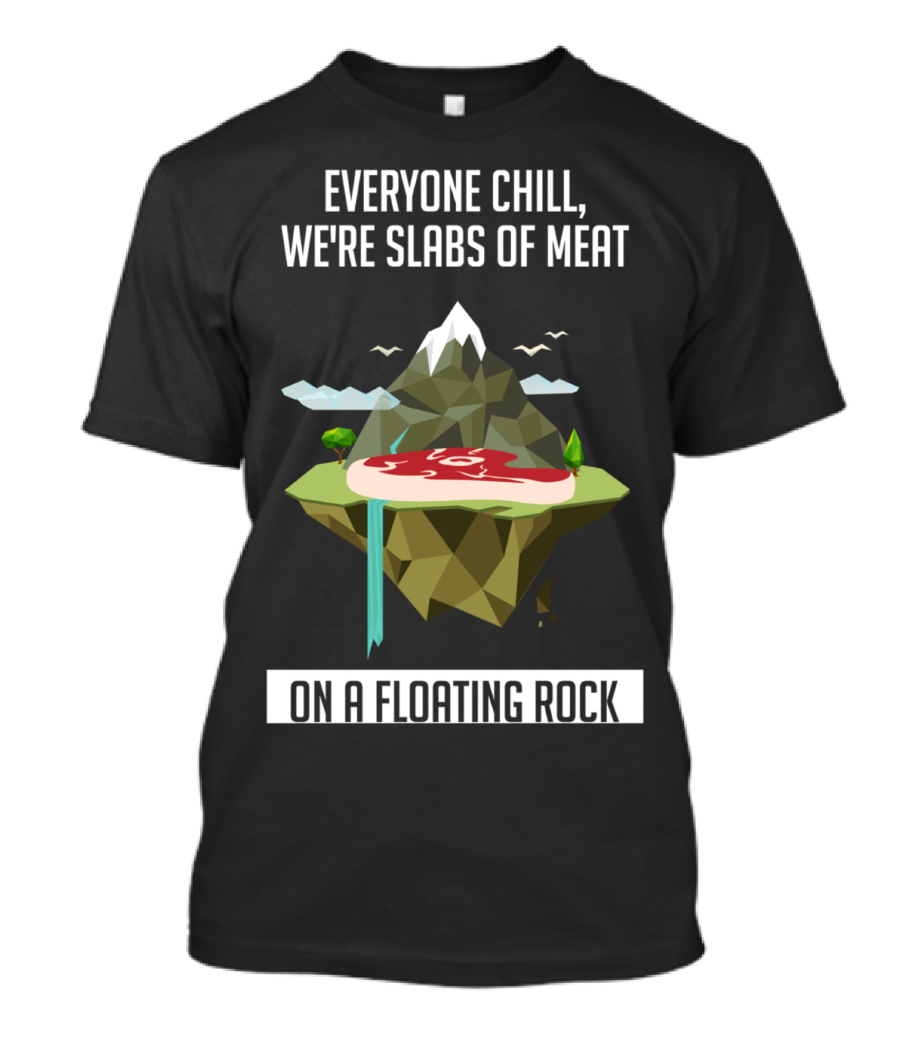 Everyone Chill We're Slabs Of Meat On A Floating Rock T-Shirt