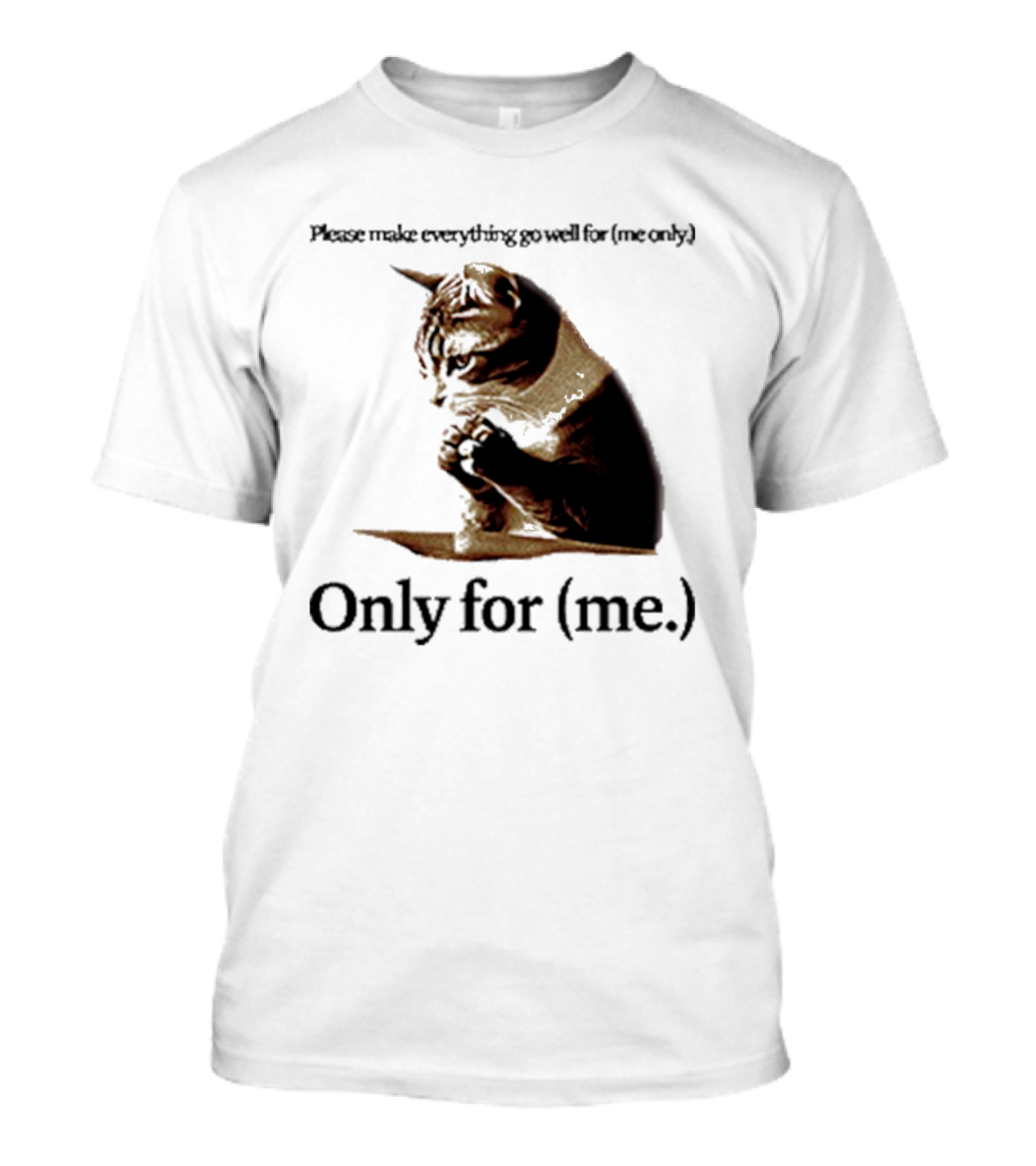 Please Make Everything Go Well For Me Only Praying Cat Only For Me T-Shirt