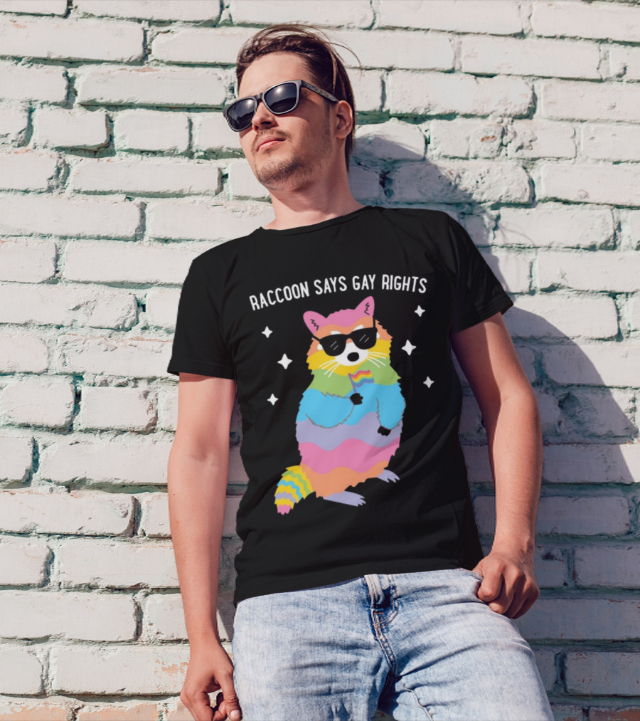 Raccoon Says Gay Rights Pride Rainbow Sunglasses Flag T-Shirt