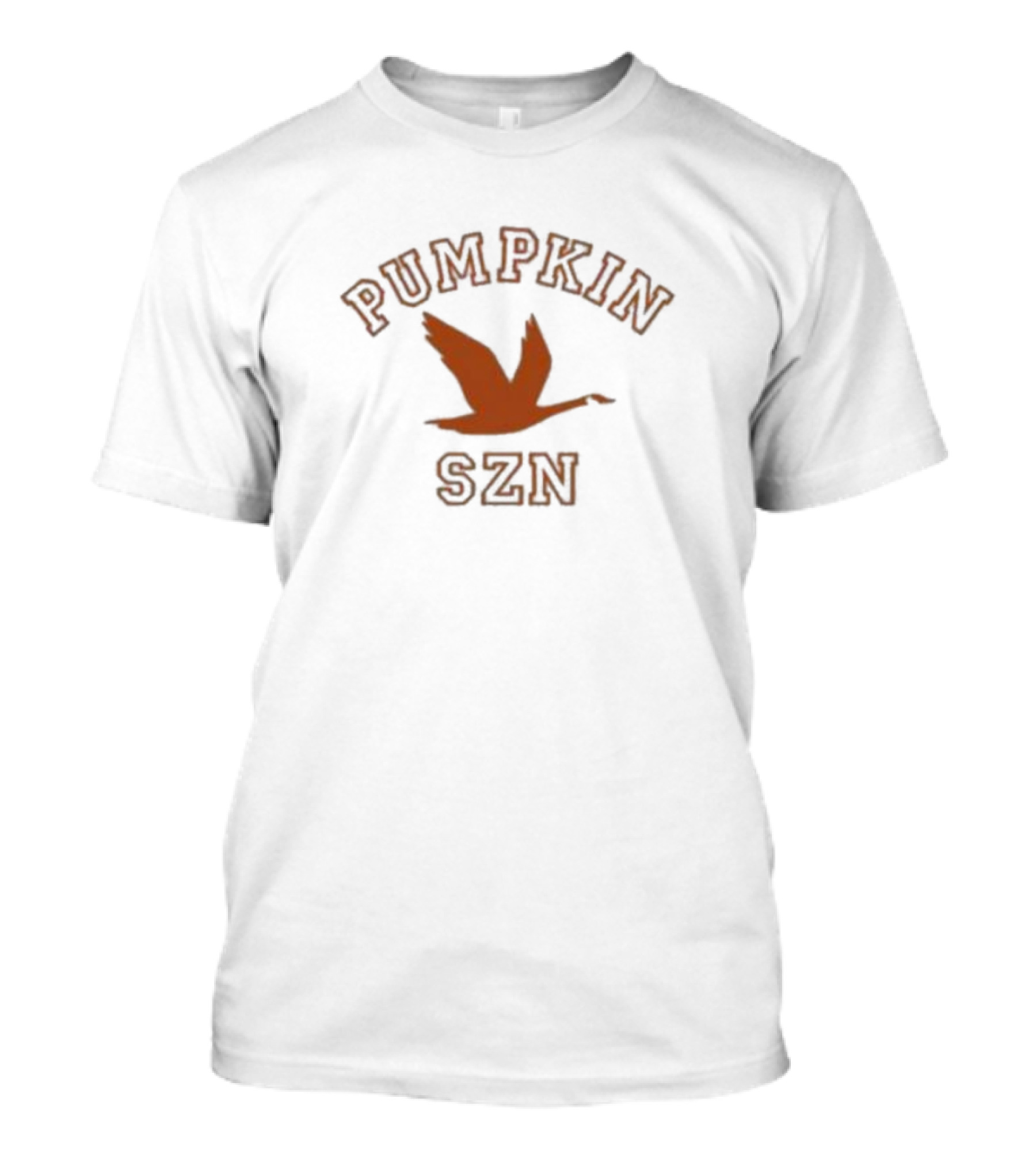 PUMPKIN SZN Flying Goose Autumn Vibes T-Shirt