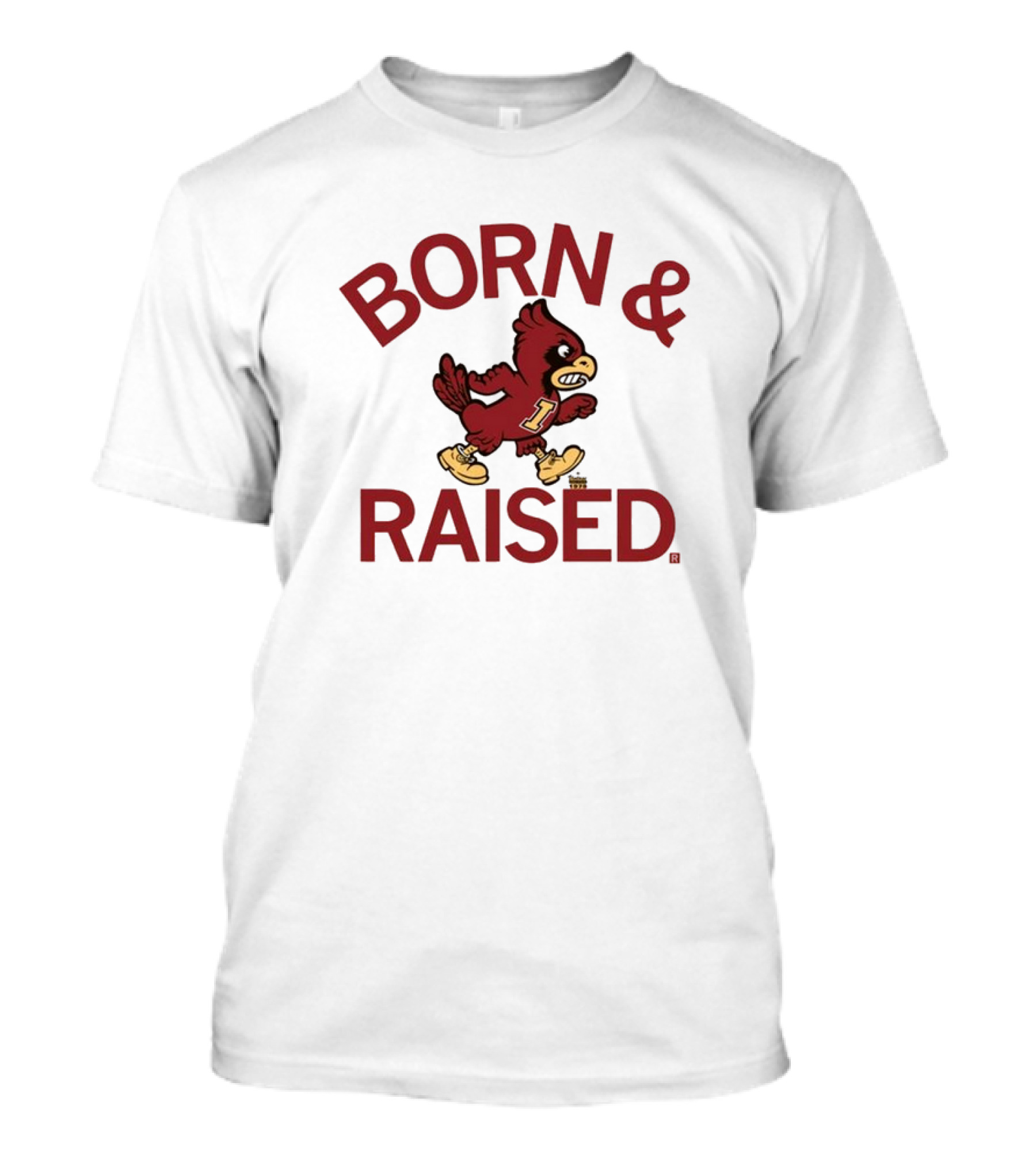 Born And Raised Cyclones Vintage Heavyweight T-Shirt