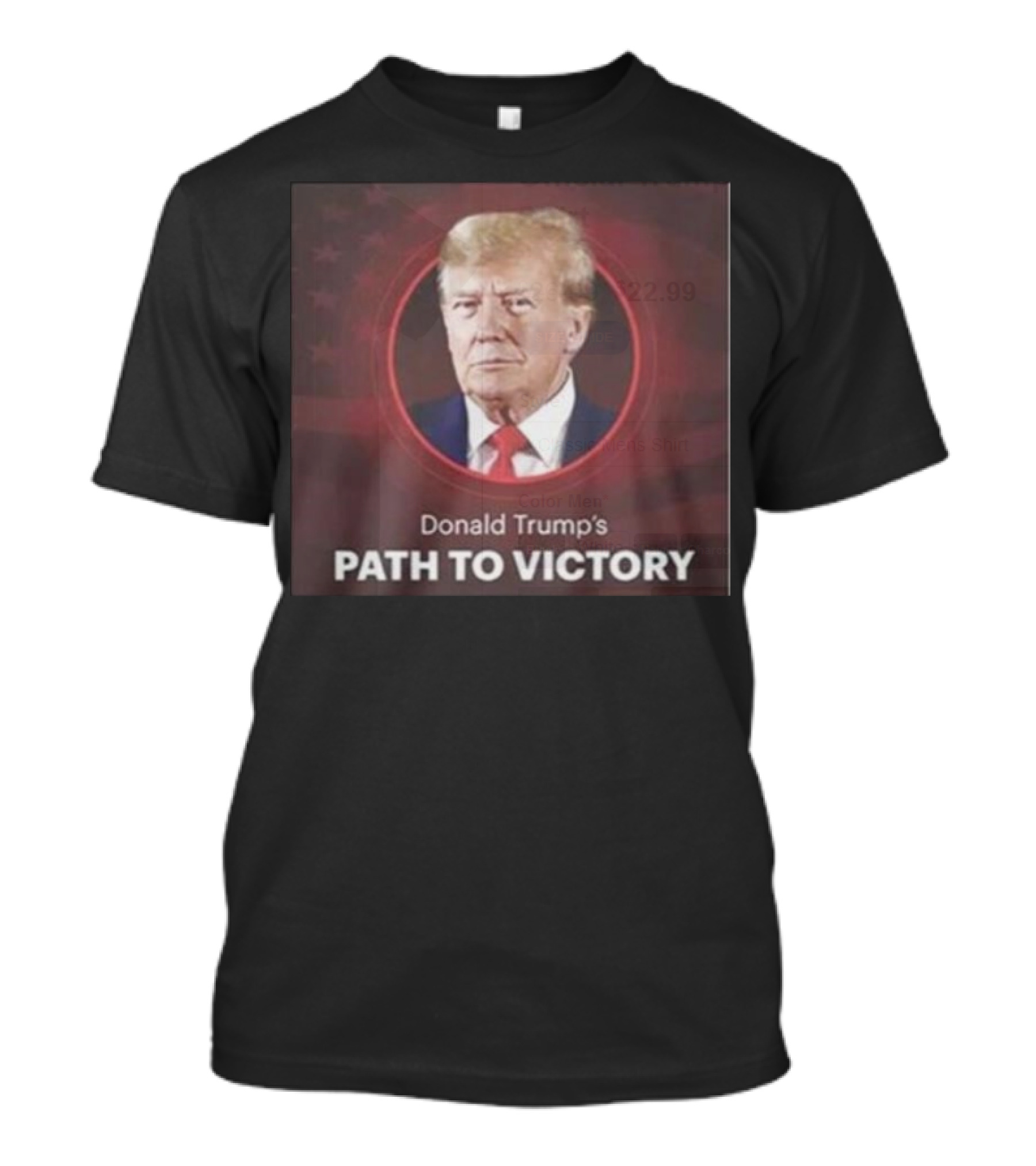 Donald Trump's Path To Victory 2024 Flag T-Shirt