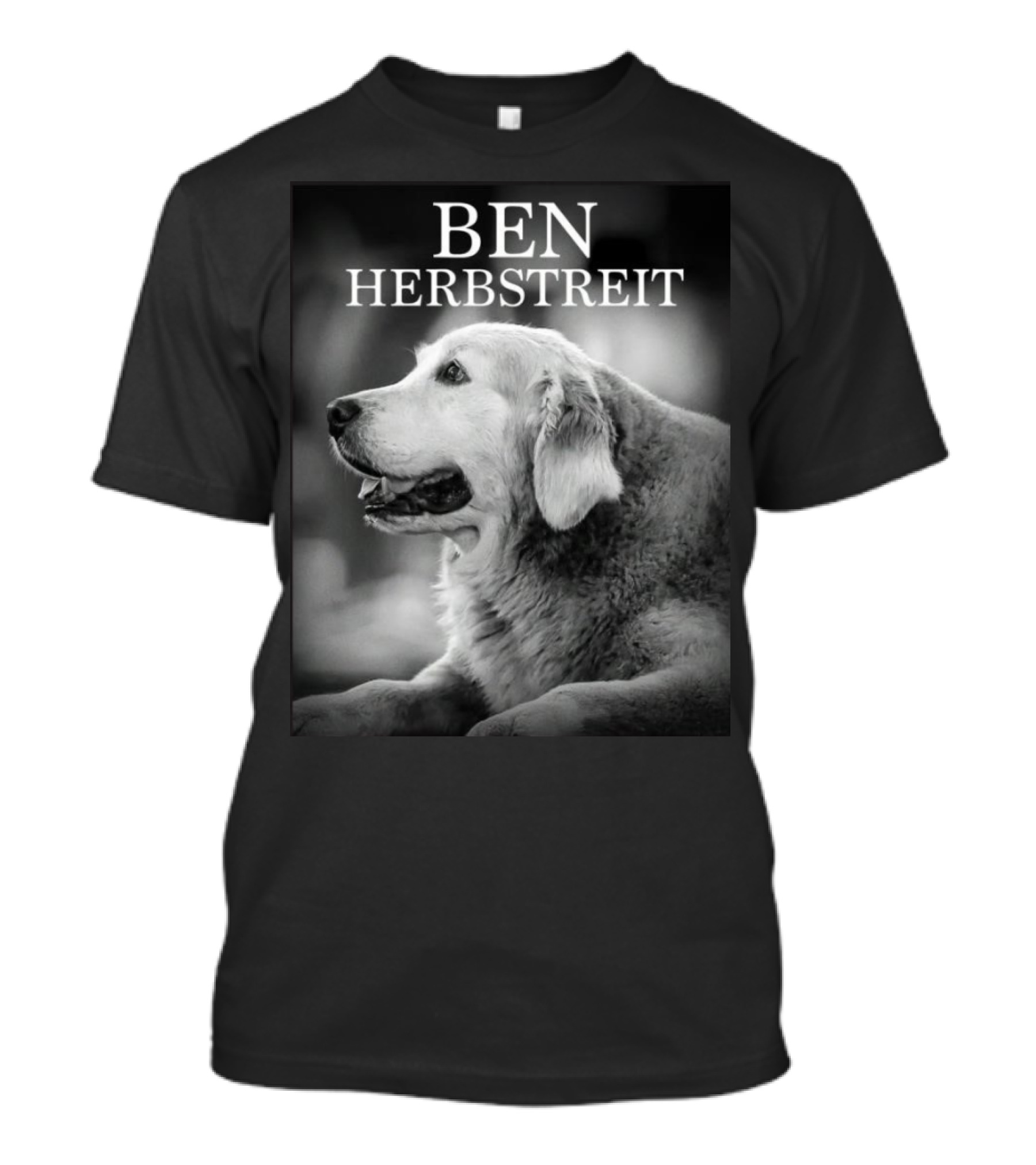 All Football Guys Go To Heaven RIP Ben Herbstreit The Dog 2014-2024 T-Shirt