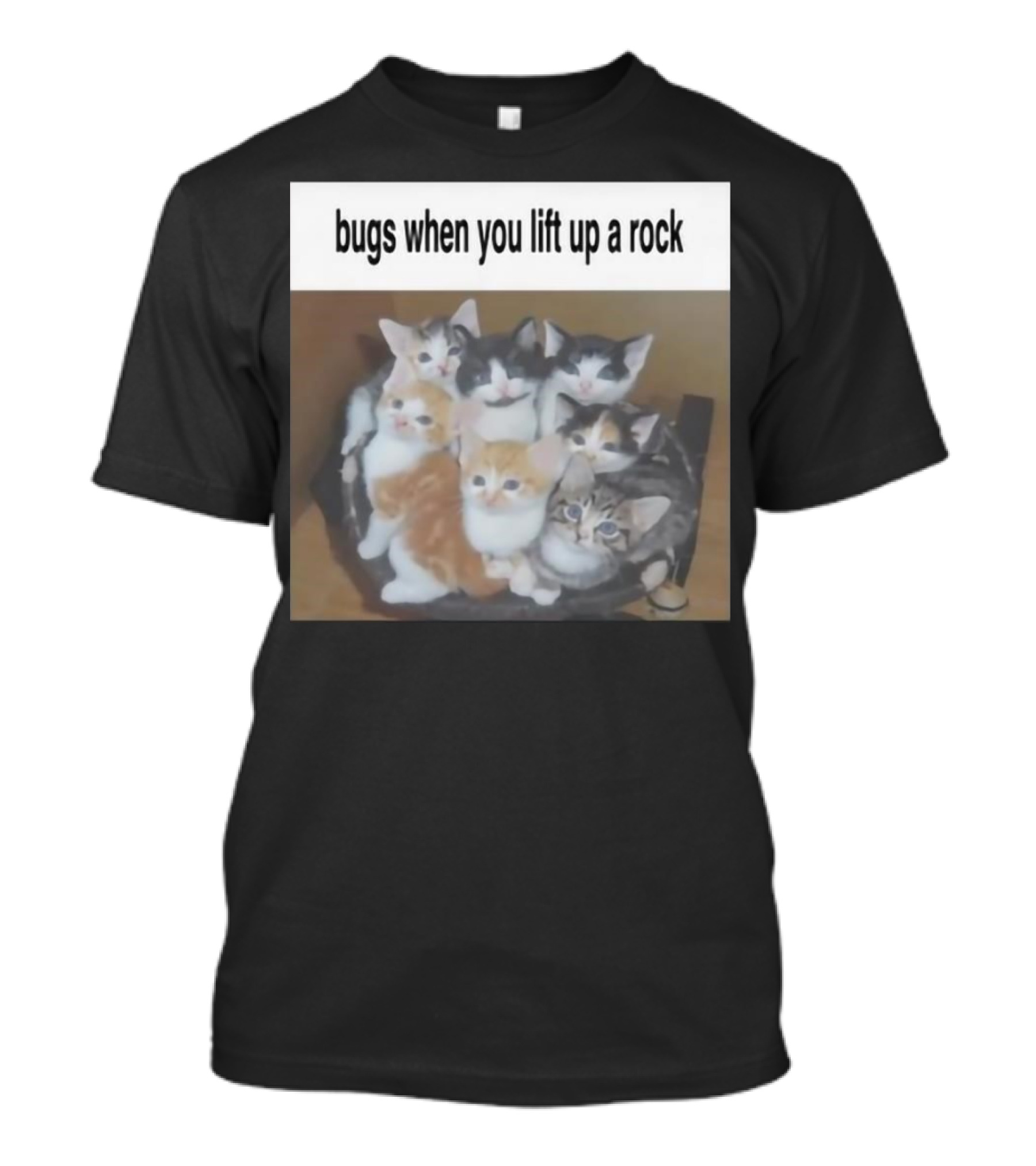 Bugs When You Lift Up A Rock Cringey New Kittens Underneath T-Shirt