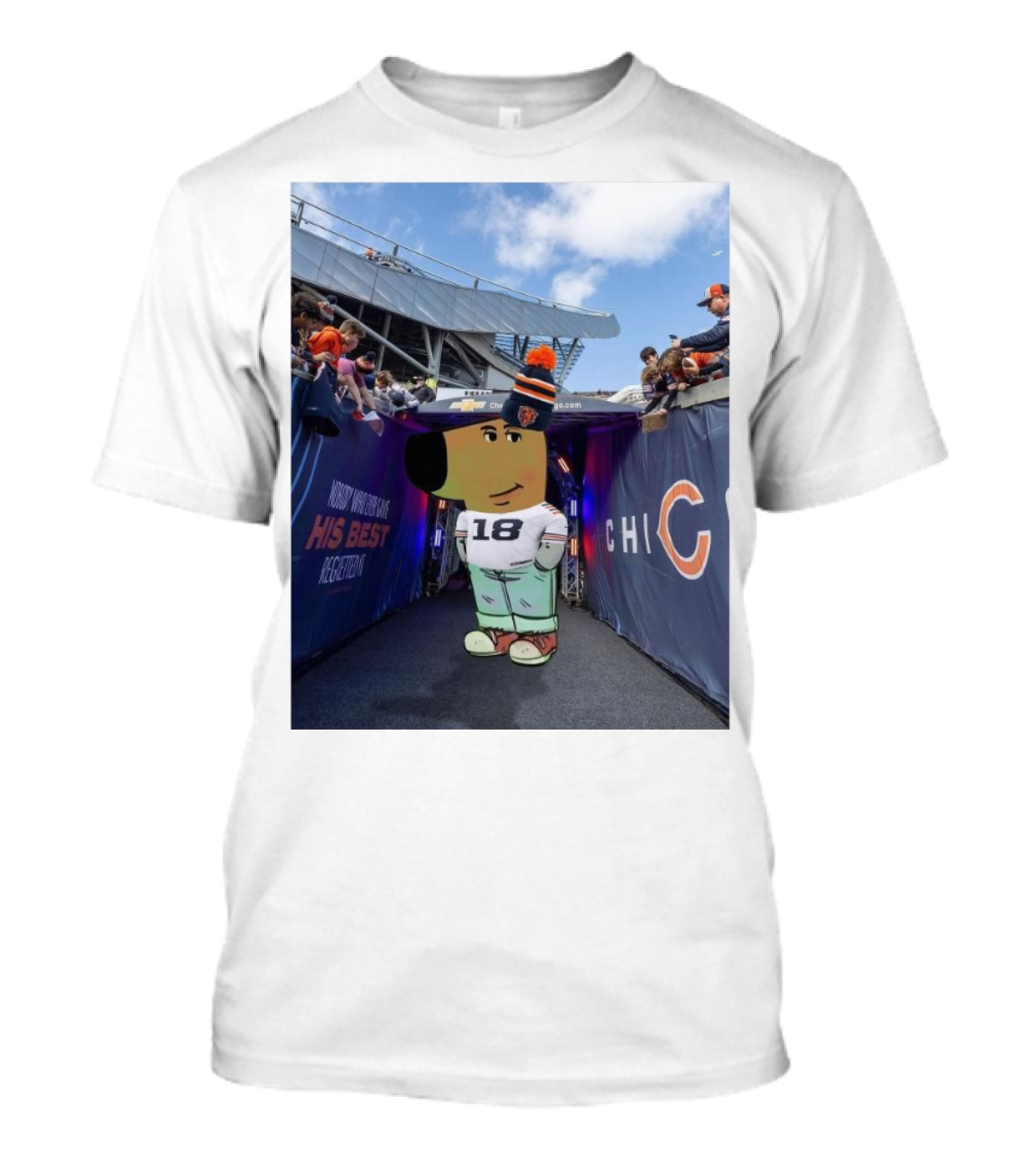 Chicago Bears NFL Chill Guy His Best 18 Reception T-Shirt