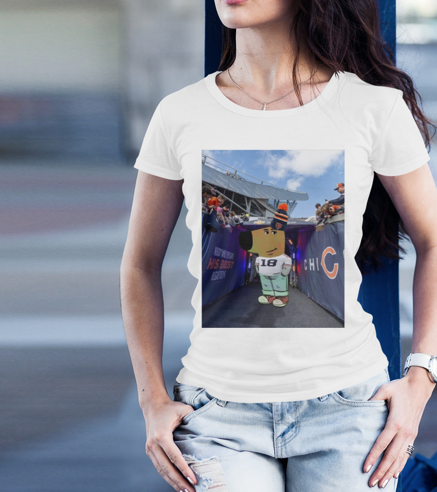 Chicago Bears NFL Chill Guy His Best 18 Reception T-Shirt