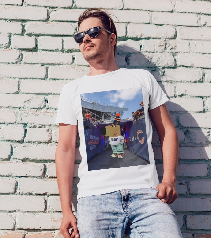 Chicago Bears NFL Chill Guy His Best 18 Reception T-Shirt