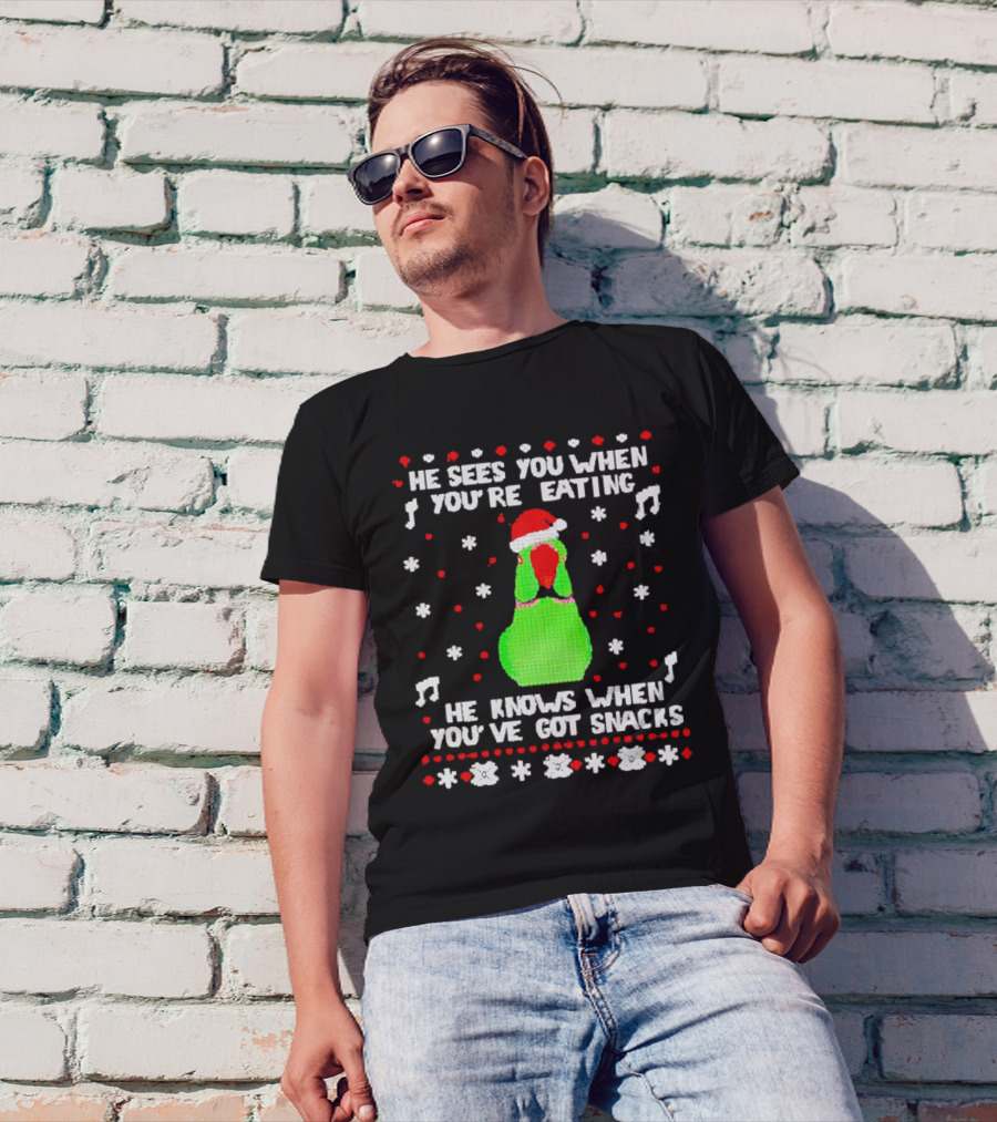 Parrot Ugly Christmas He Sees You When You’re Eating He Knows When You’ve Got Snacks T-Shirt