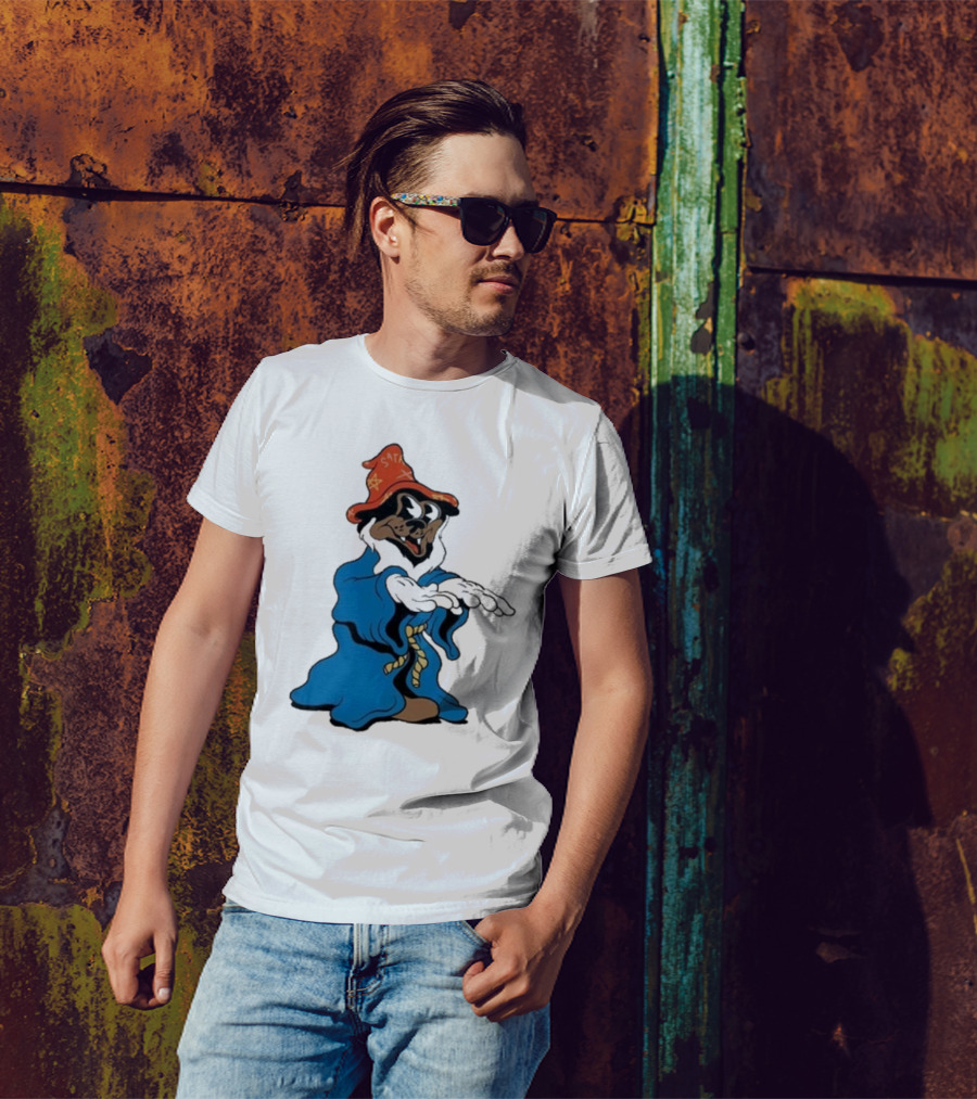 The Dudes It’s All Wavy Wizard Dog In Blue Robe With Orange Star Hat T-Shirt
