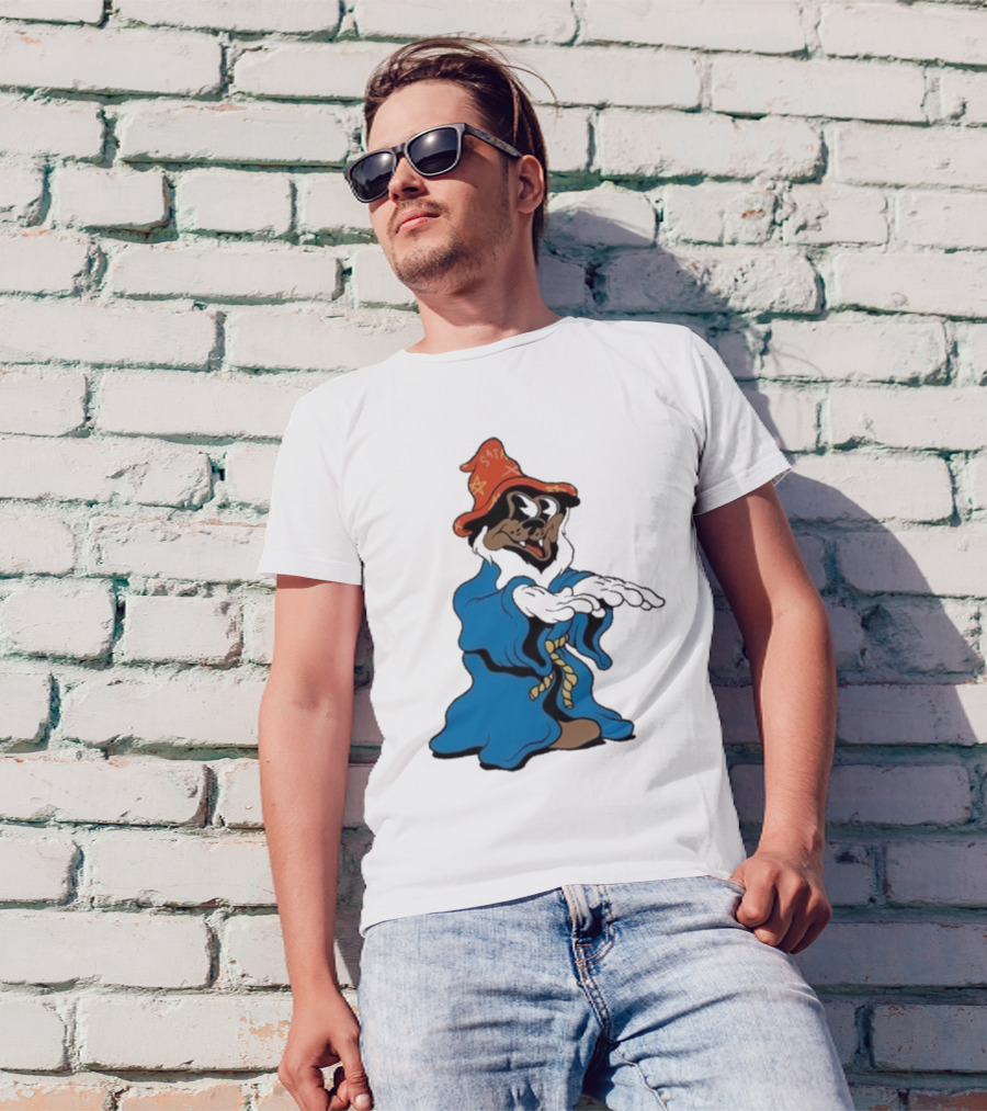 The Dudes It’s All Wavy Wizard Dog In Blue Robe With Orange Star Hat T-Shirt