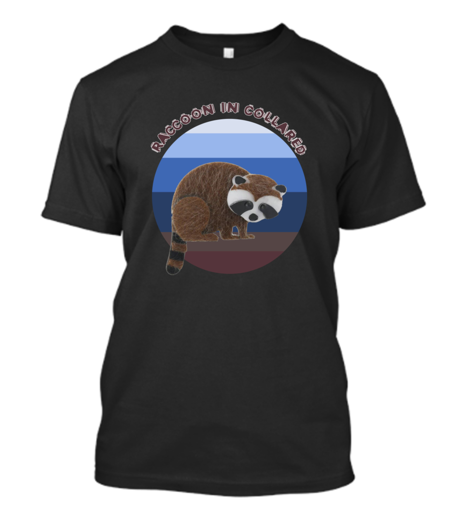 Raccoon In Collared Street Cats Vintage Pride Colors T-Shirt