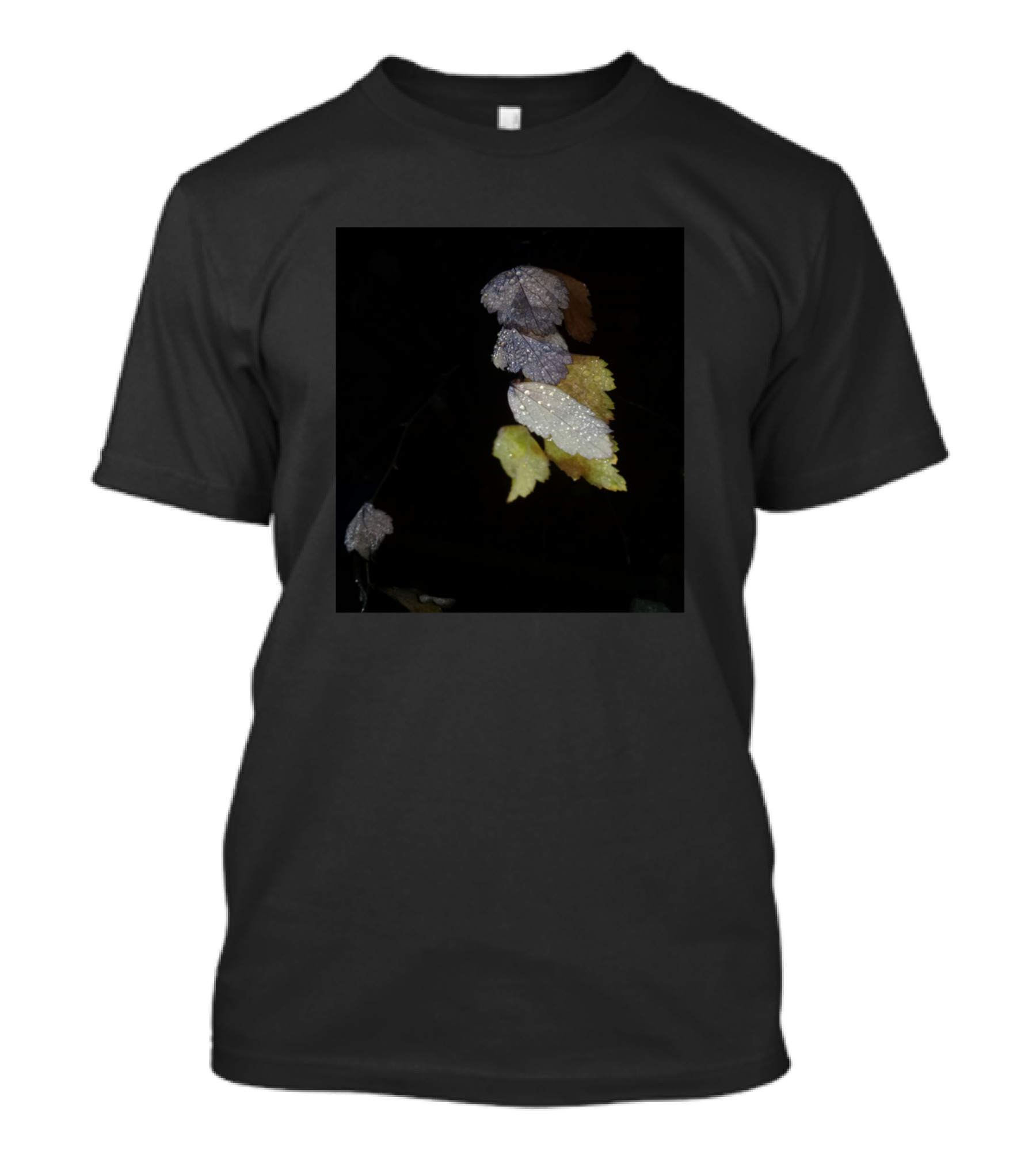 Rain Touched Dewy Leaves In The Evening Light T-Shirt