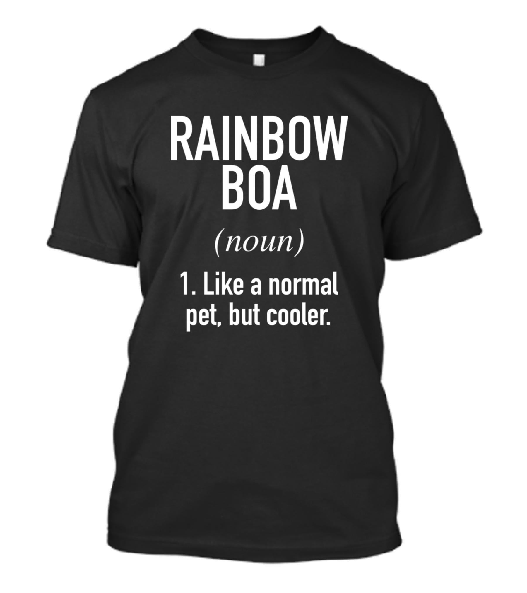 RAINBOW BOA Noun Like A Normal Pet But Cooler T-Shirt