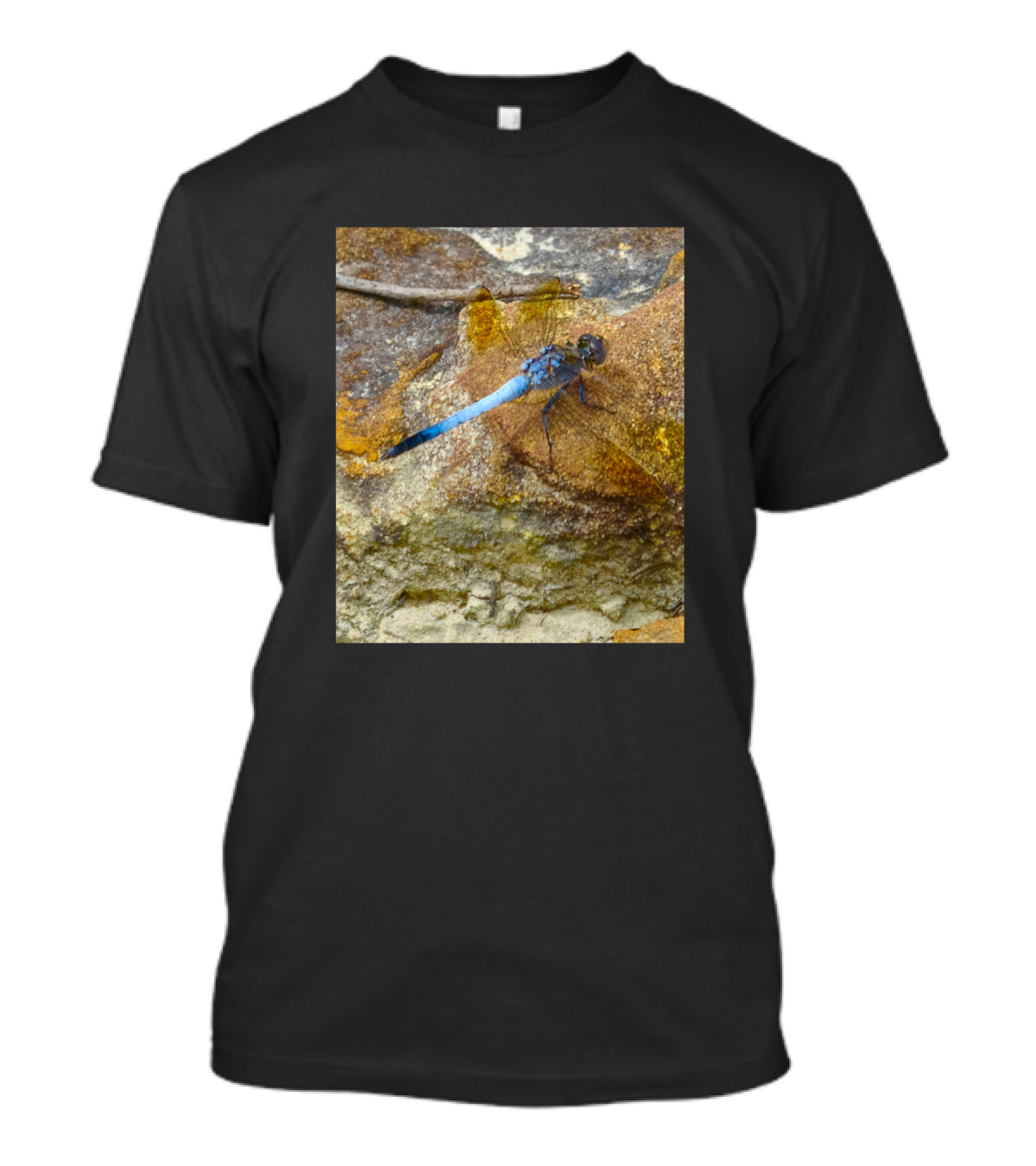 Blue Dragonfly On Rocky Surface T-Shirt