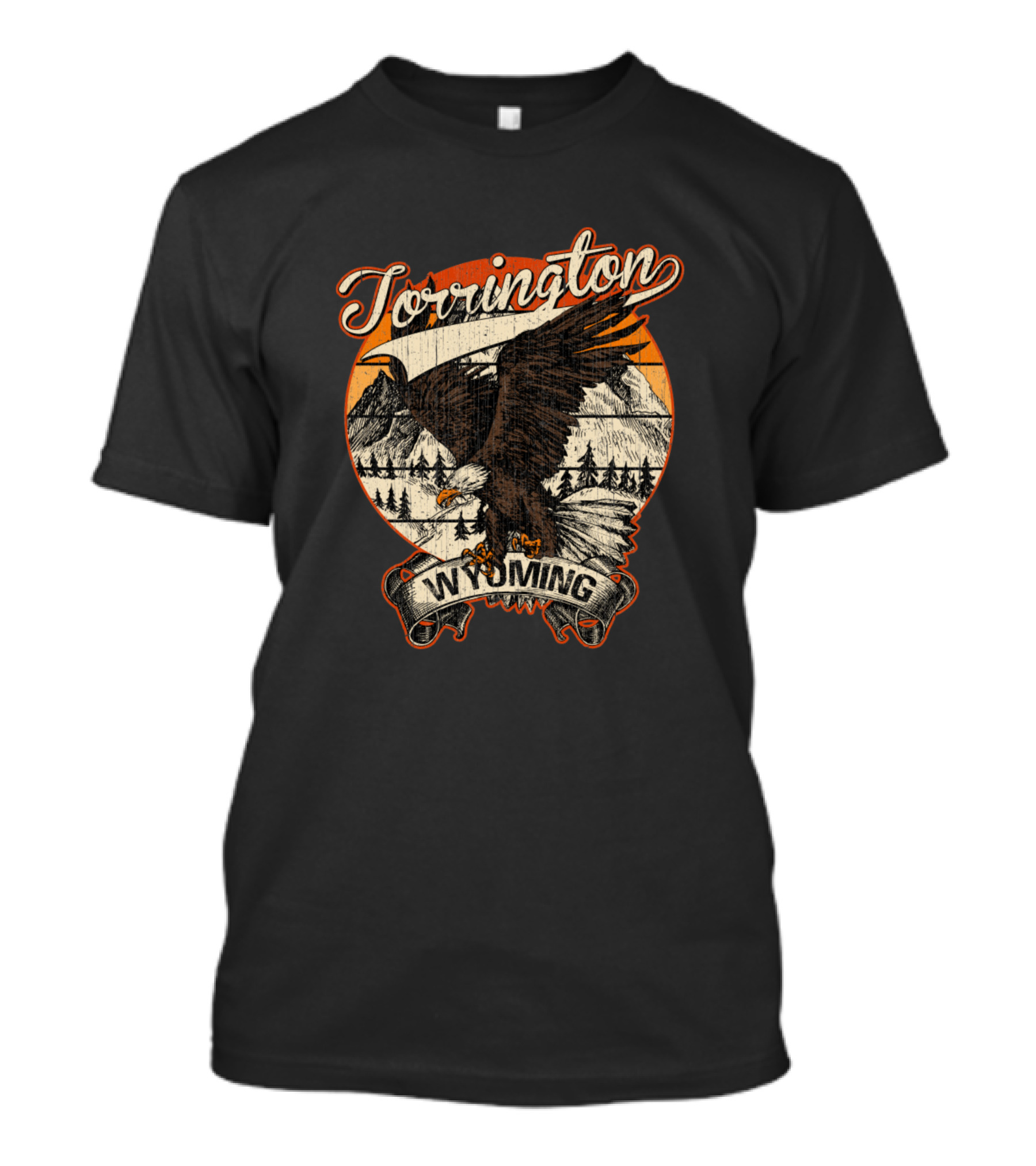 Torrington Wyoming Bald Eagle Retro Vintage Aesthetic Mountains T-Shirt