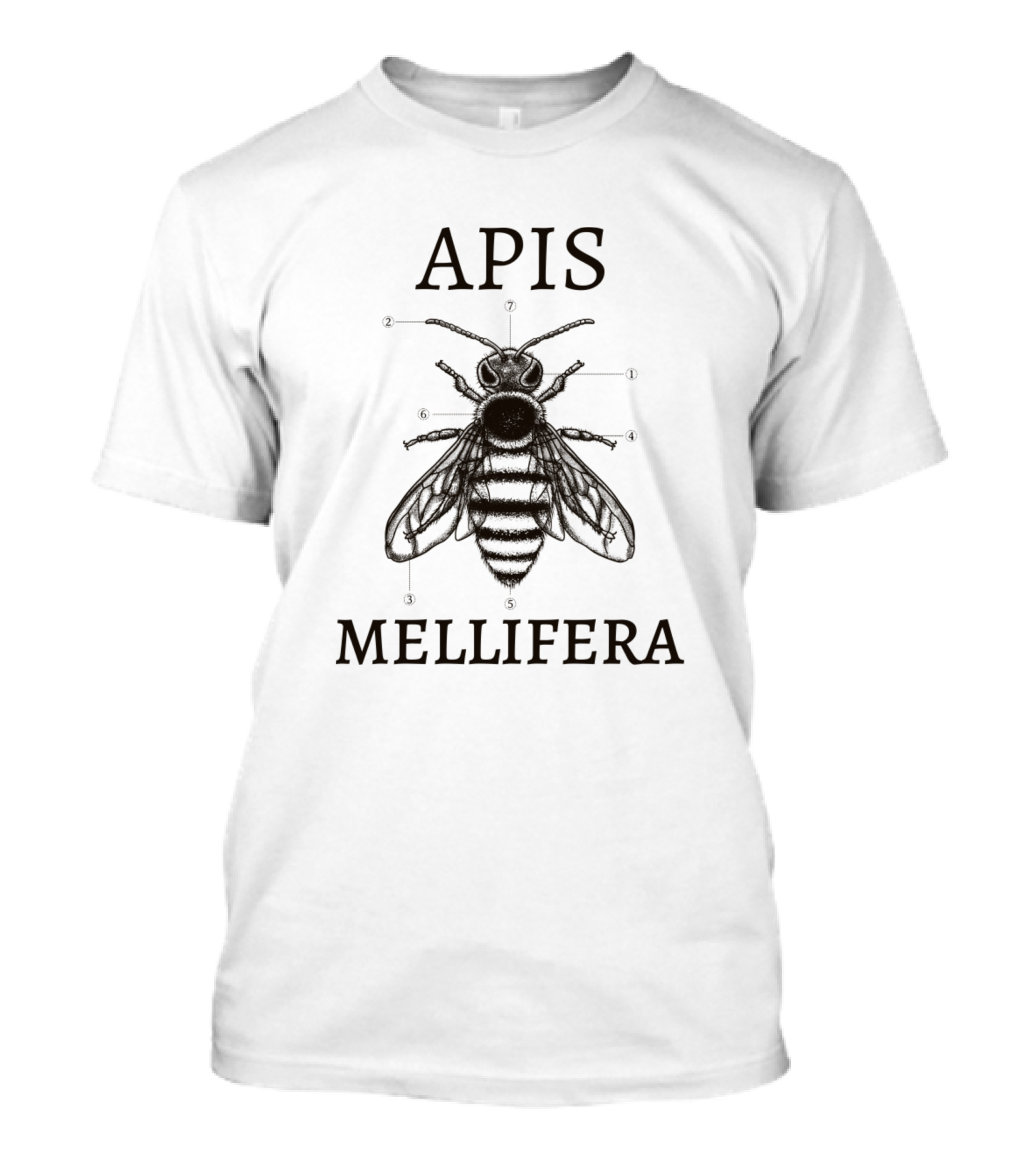 Apis Mellifera Anatomical Diagram T-Shirt