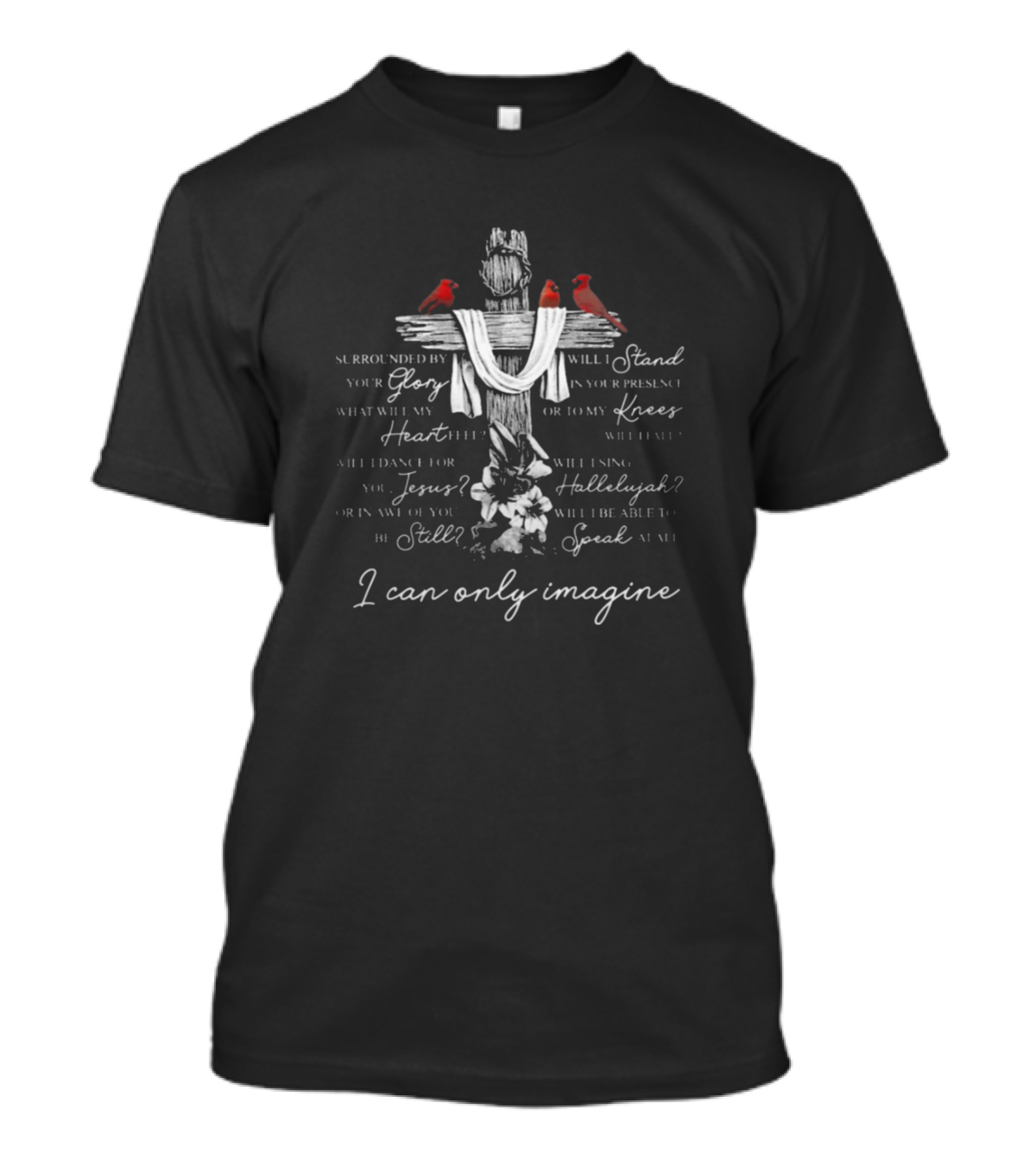 I Can Only Imagine Surrounded By Your Glory Will I Stand Or To My Knees Will I Fall T-Shirt