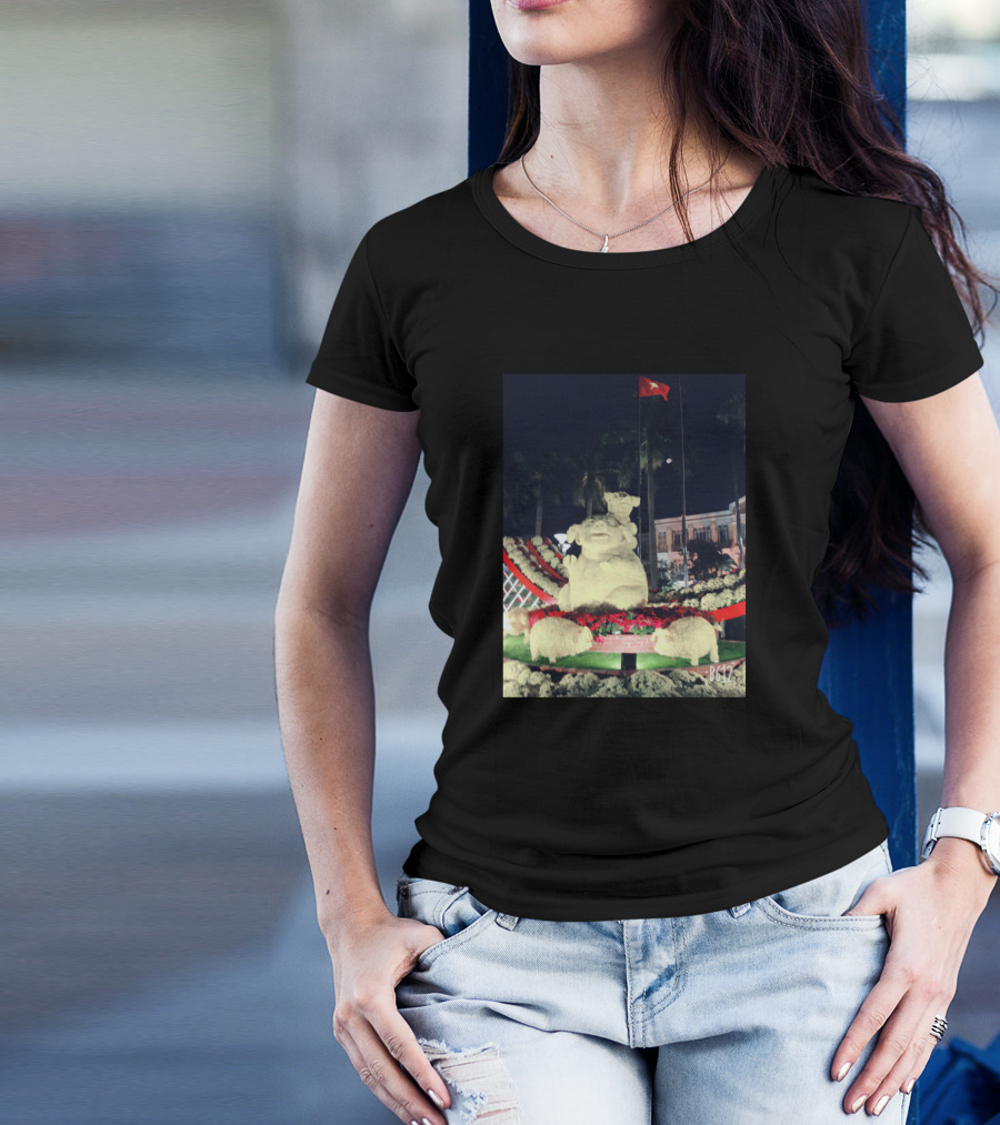 BG47 Nighttime Pig Statue Display With Red Flag T-Shirt