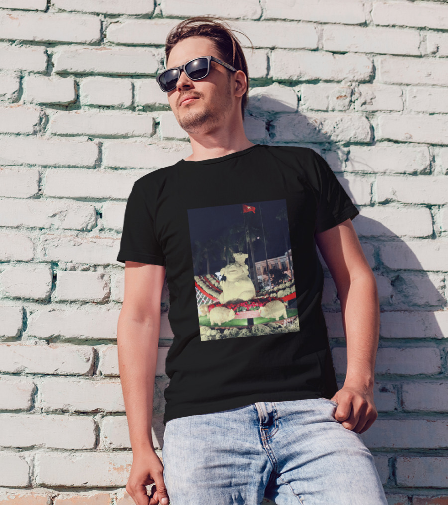 BG47 Nighttime Pig Statue Display With Red Flag T-Shirt