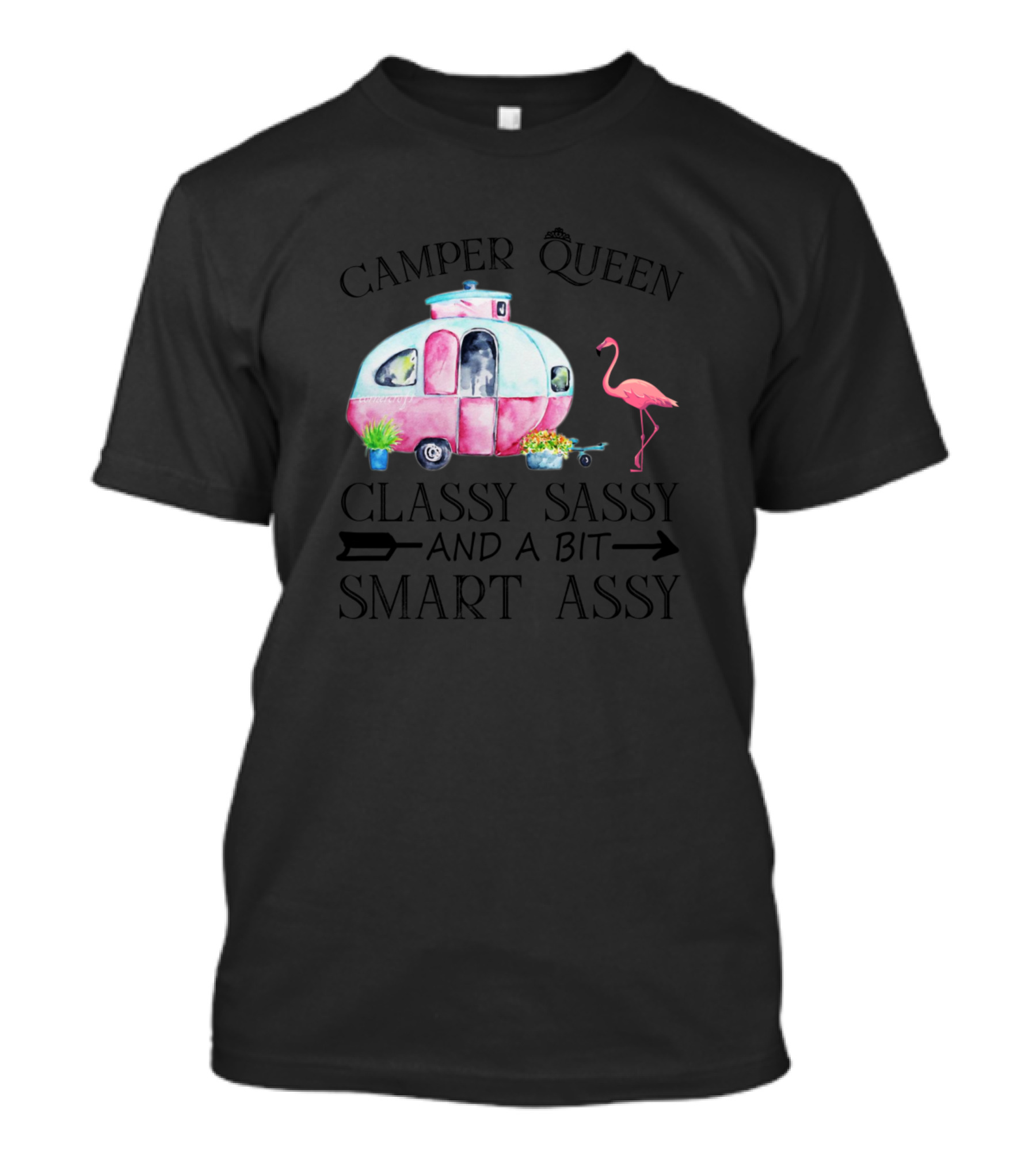 Camper Queen Classy Sassy And A Bit Smart Assy Flamingo Caravan T-Shirt