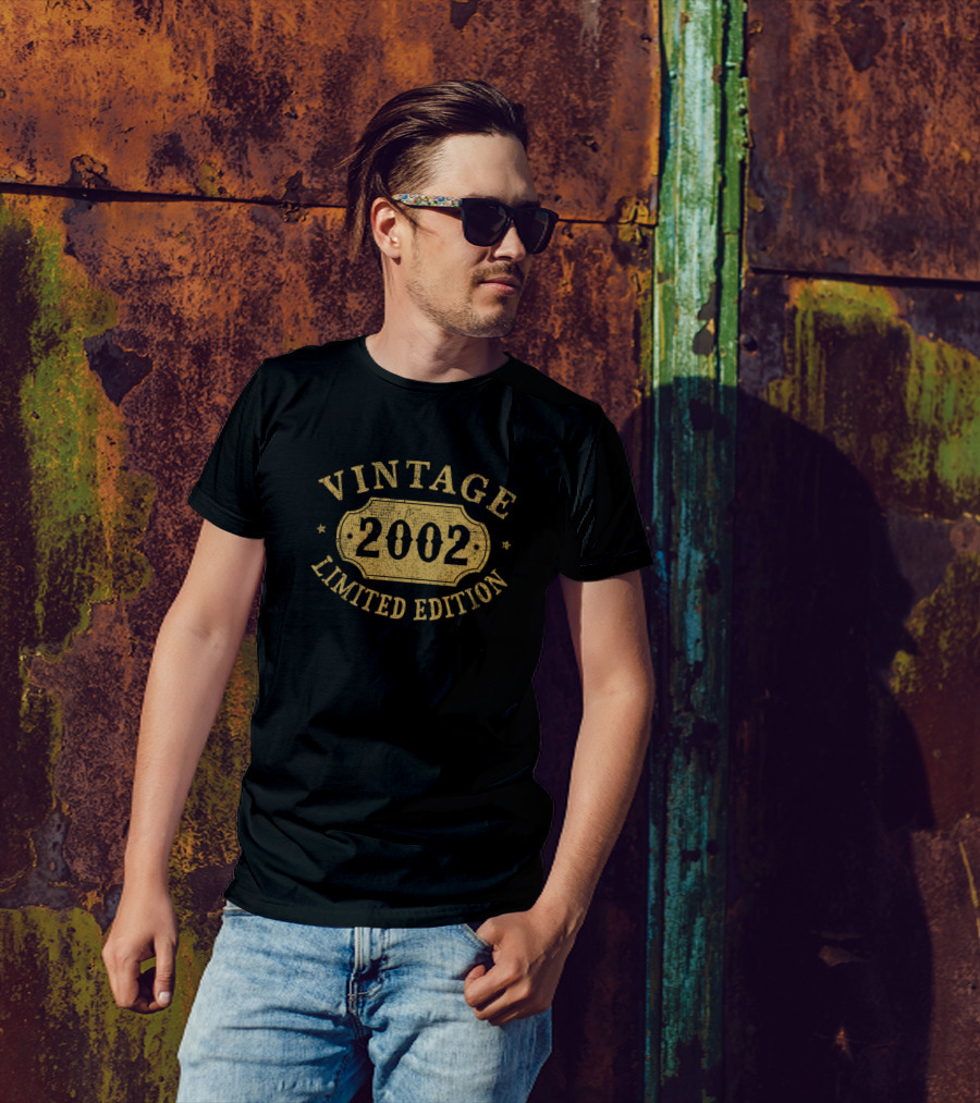 Vintage 2002 17 Years Old Birthday Anniversary T-Shirt