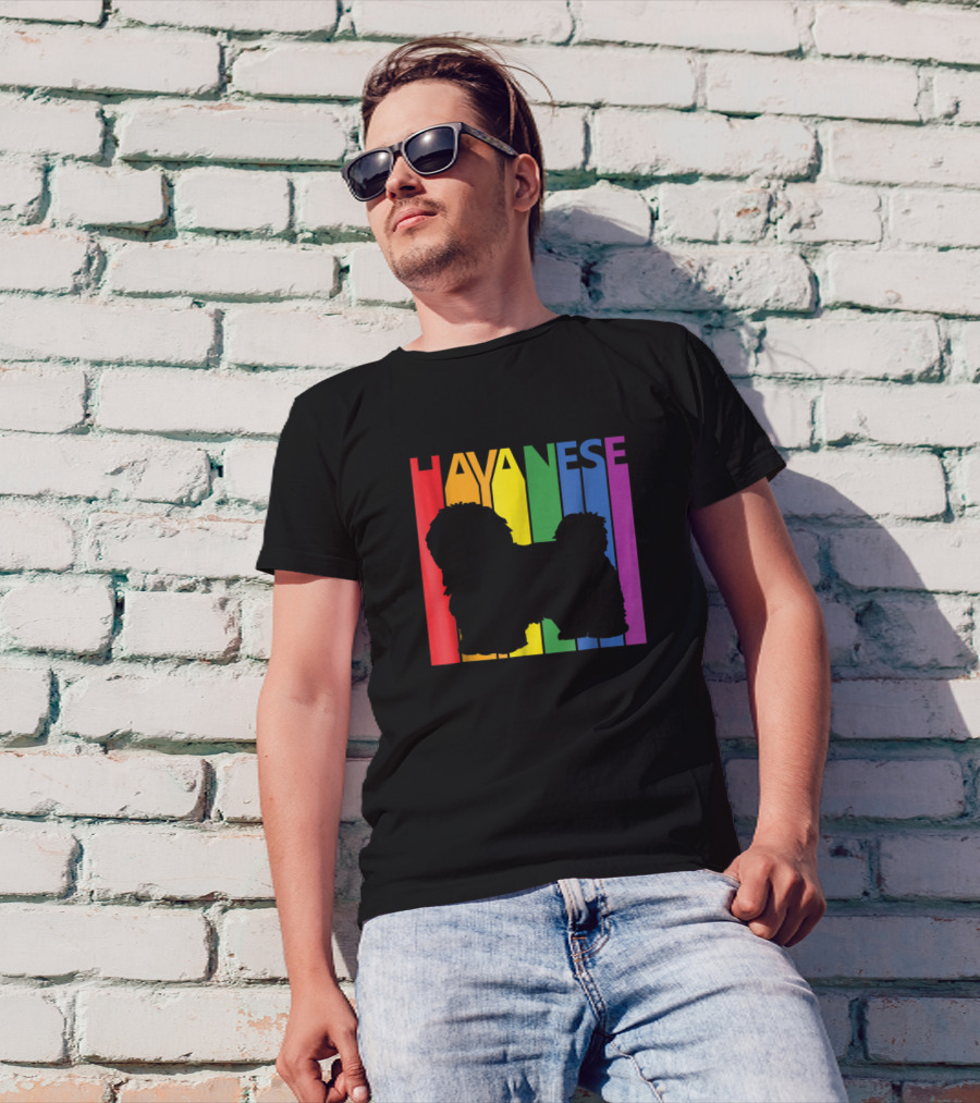 Havanese Dog Silhouette With Rainbow Stripes T-Shirt