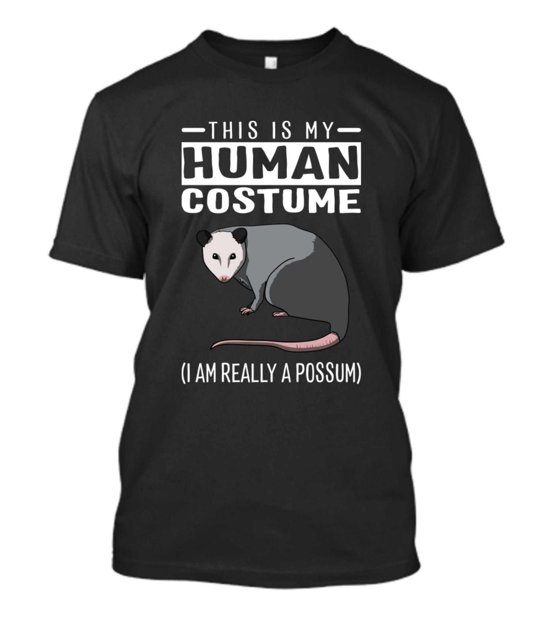 This Is My Human Costume I Am Really A Possum T-Shirt