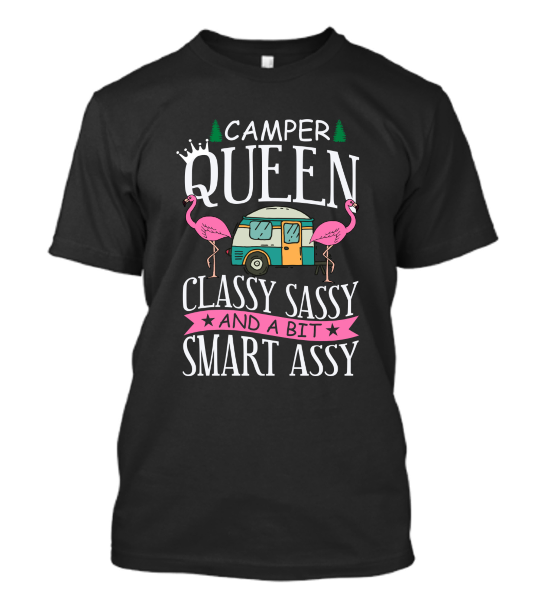 Camper Queen Classy Sassy And A Bit Smart Ass Flamingo Camper Van T-Shirt