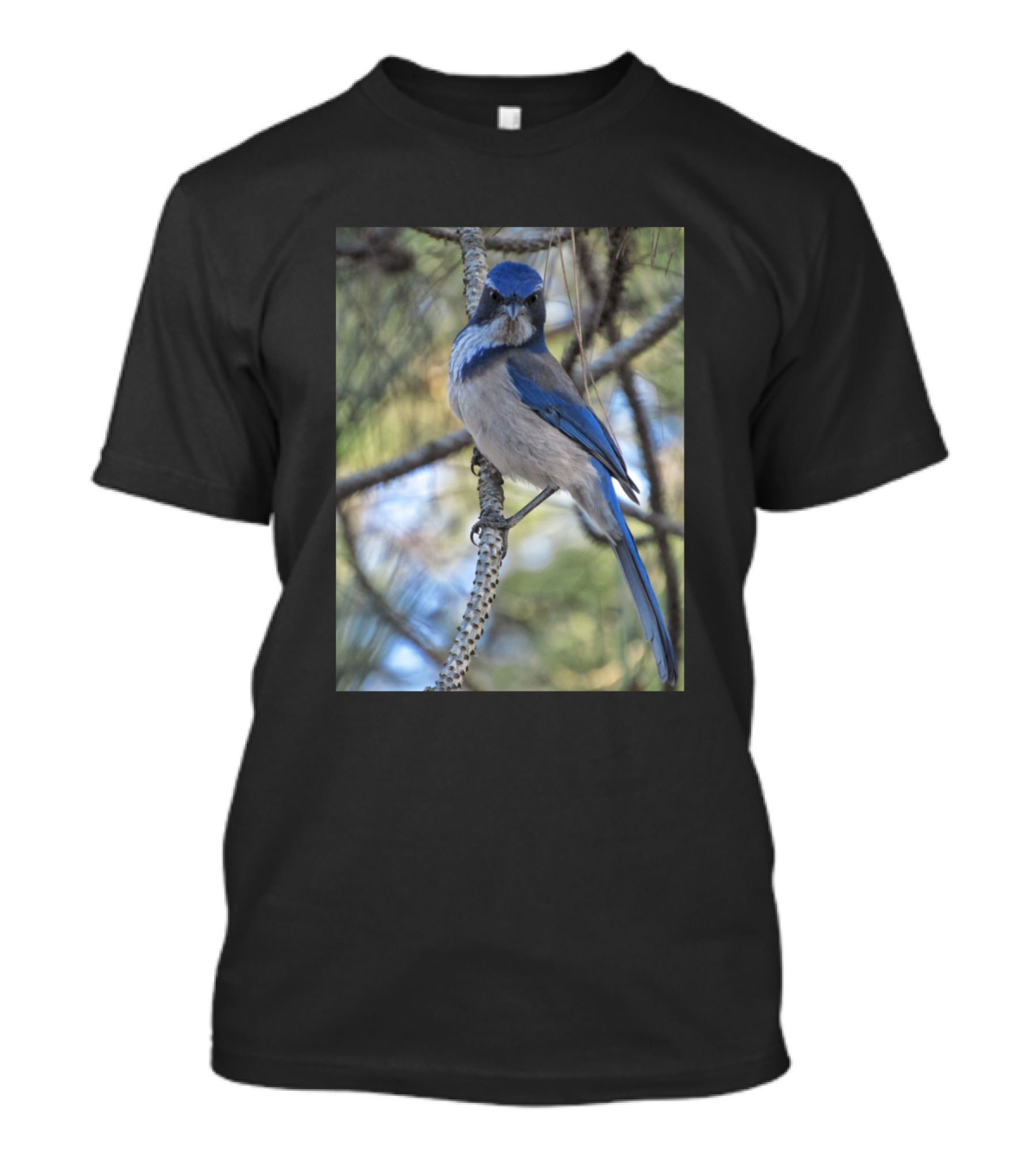I Am Birdman Blue Jay In Nature T-Shirt