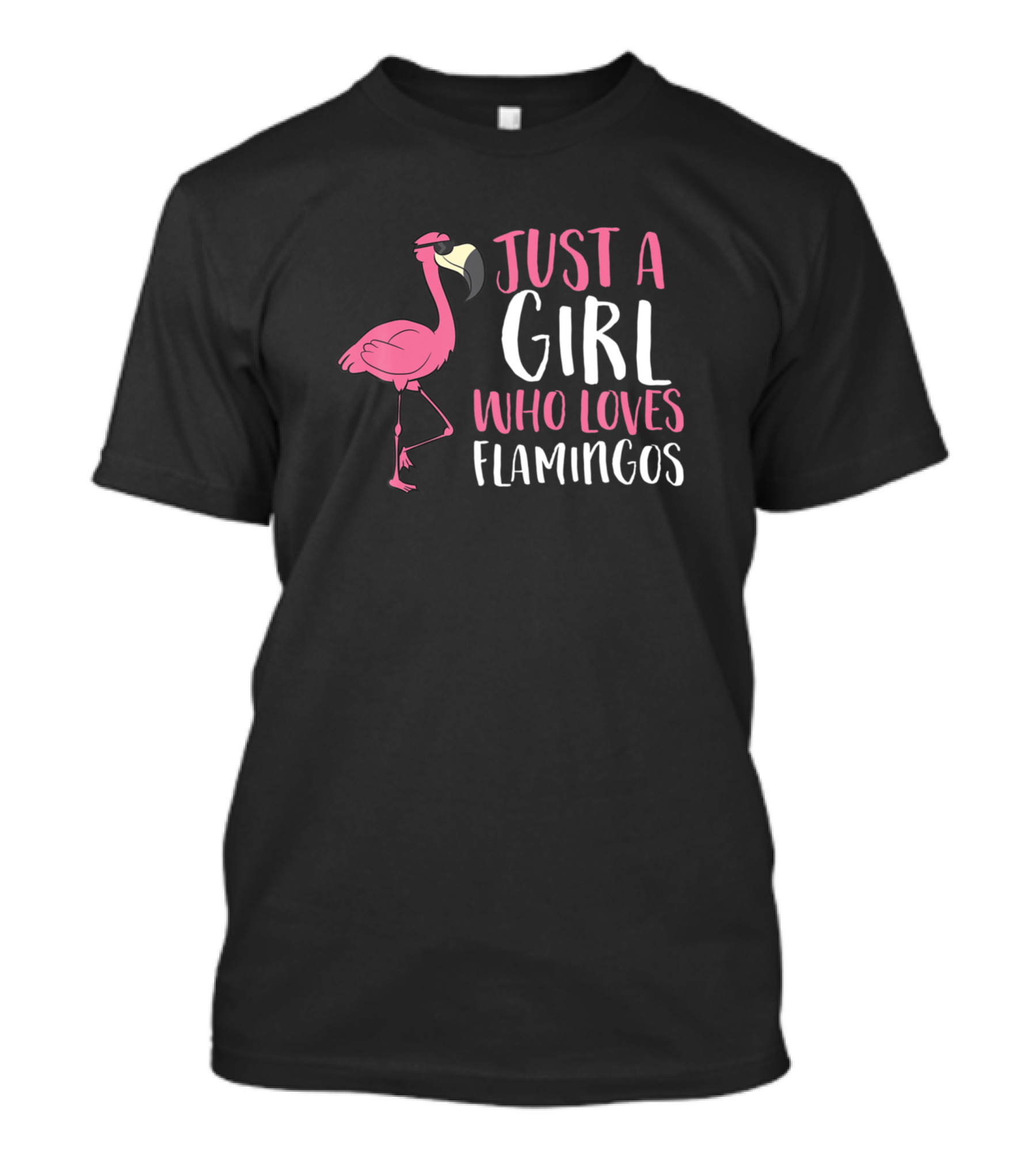 Just A Girl Who Loves Flamingos Cute Flamingo Girl T-Shirt