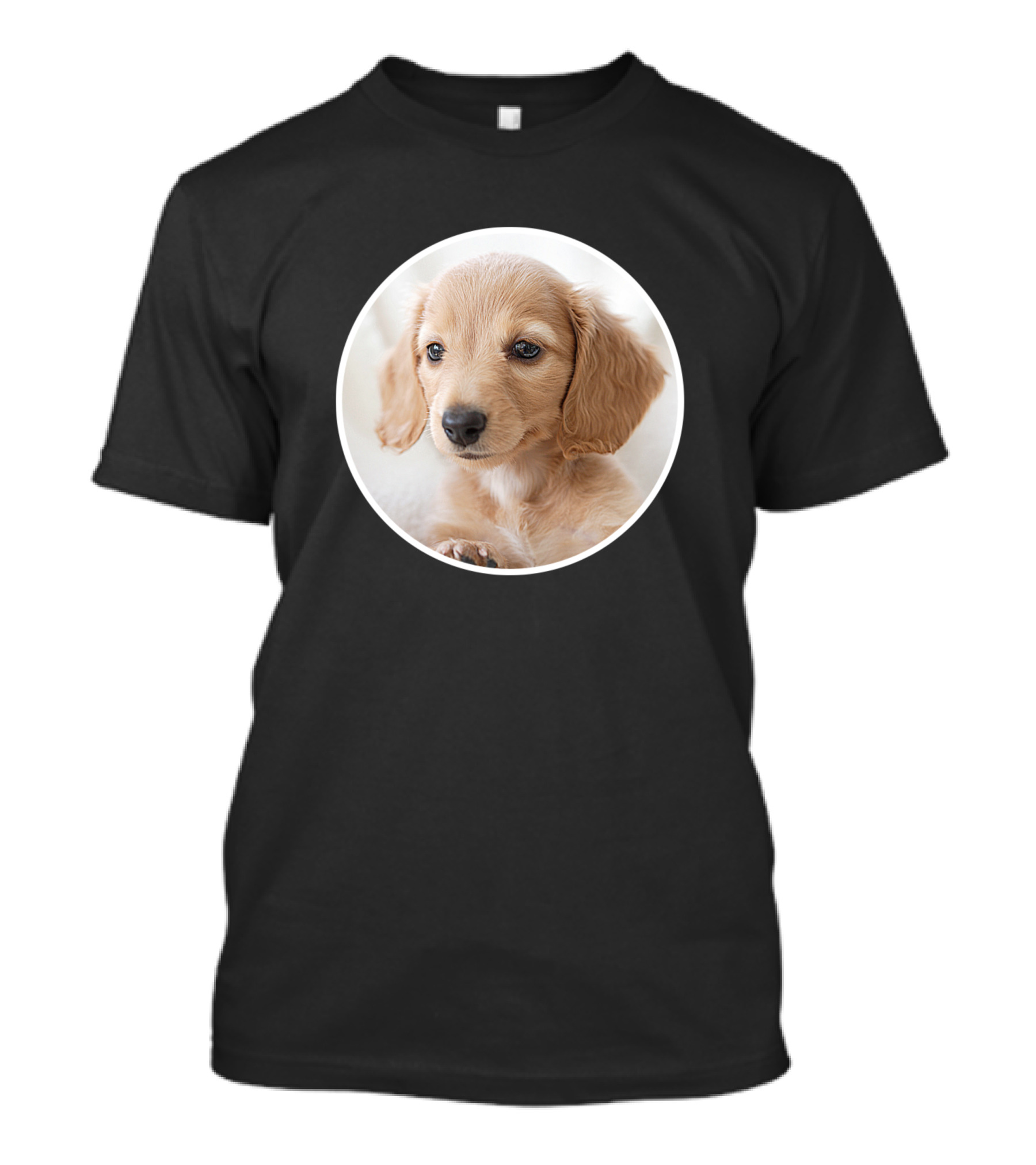 Miniature Dachshund Puppy Close-Up Circle T-Shirt
