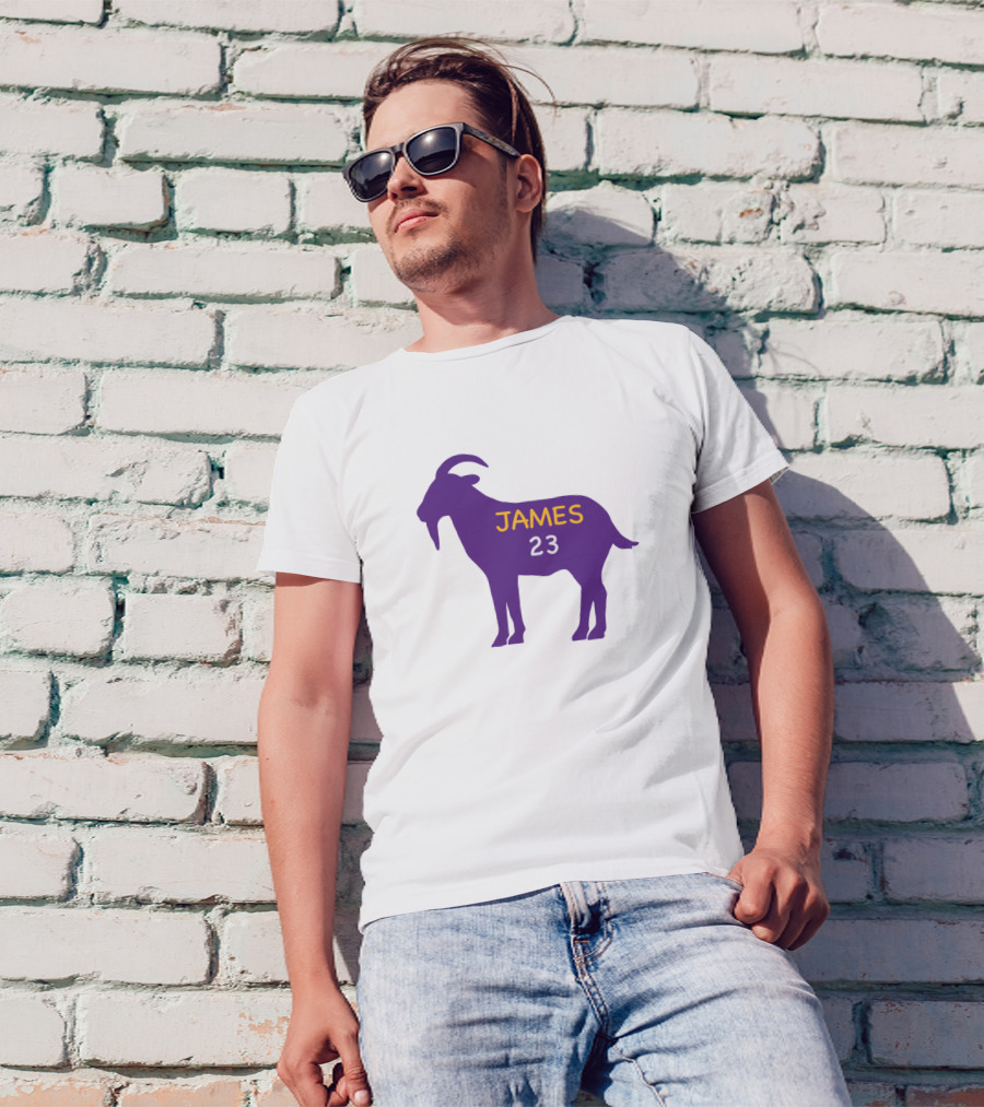 James 23 GOAT Lakers Purple And Gold T-Shirt