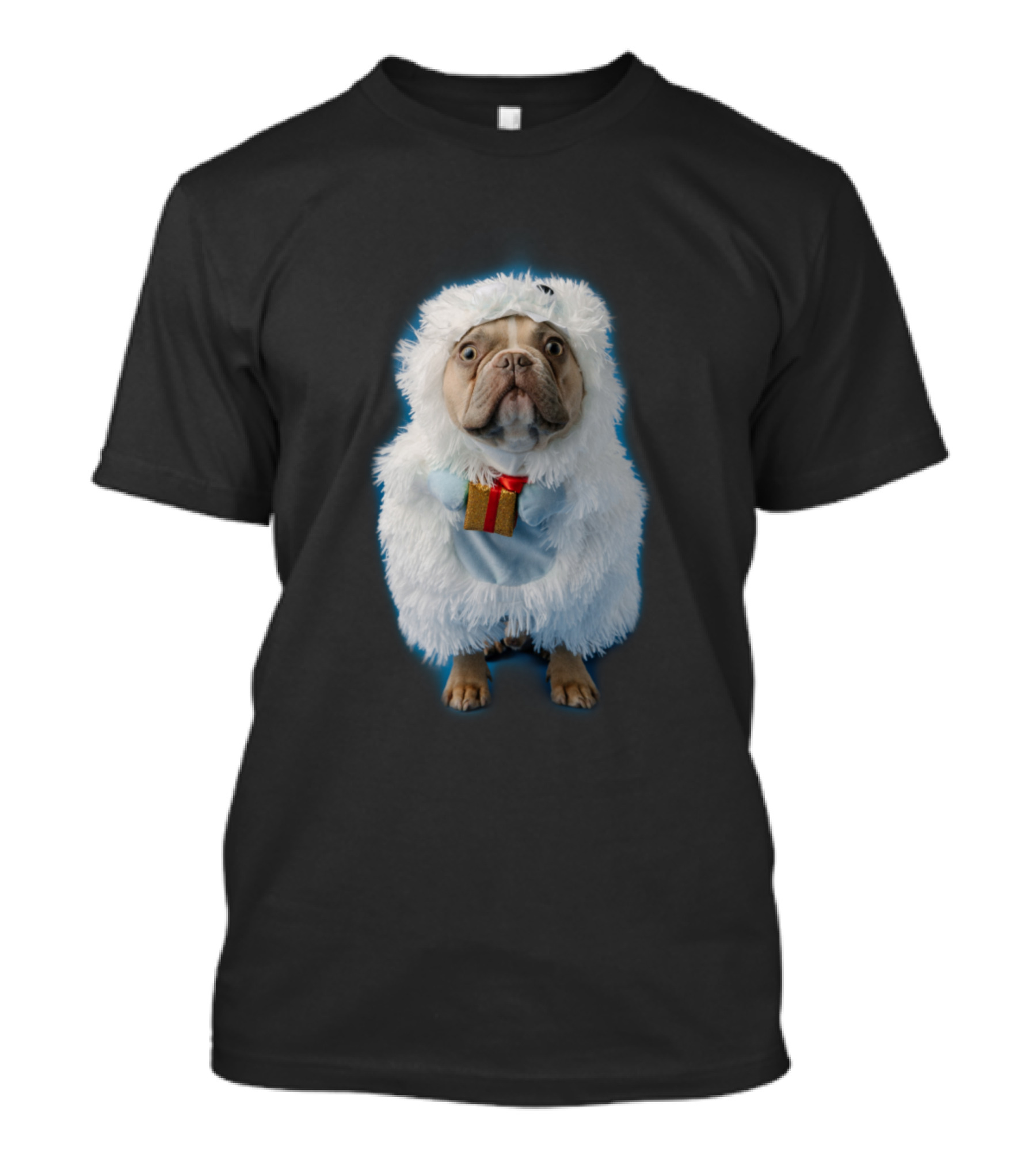 Moh Dis Fluffy Dog In Costume Holding Small Gift T-Shirt