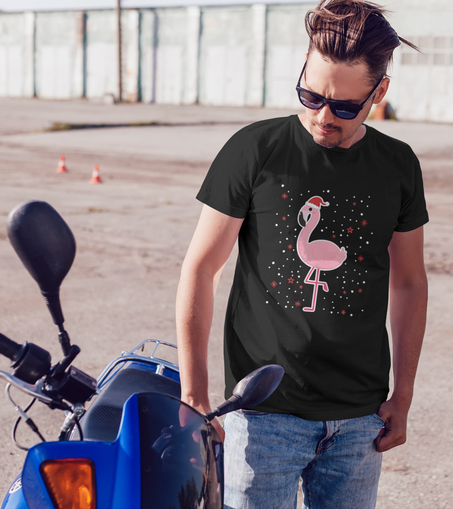 Xmas Christmas Flamingo Santa Hat Snowflakes And Stars T-Shirt