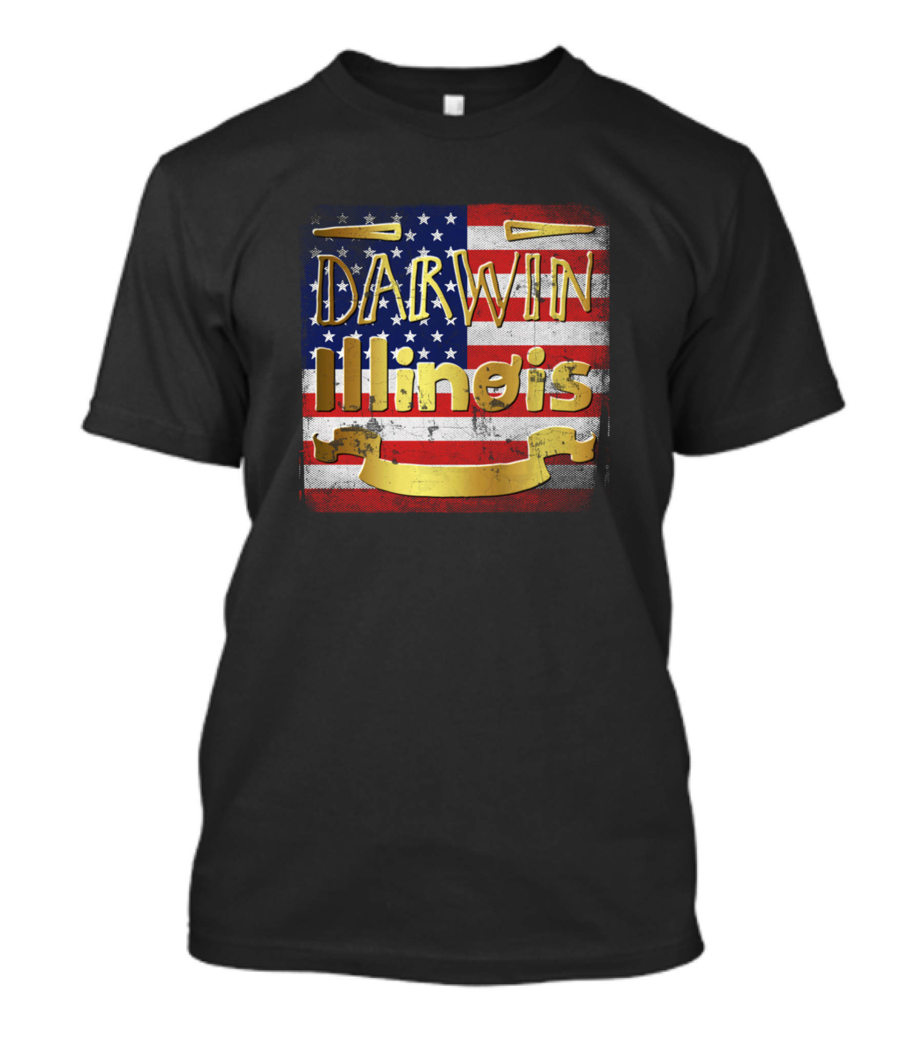 Darwin Illinois American Flag Gold Banner T-Shirt