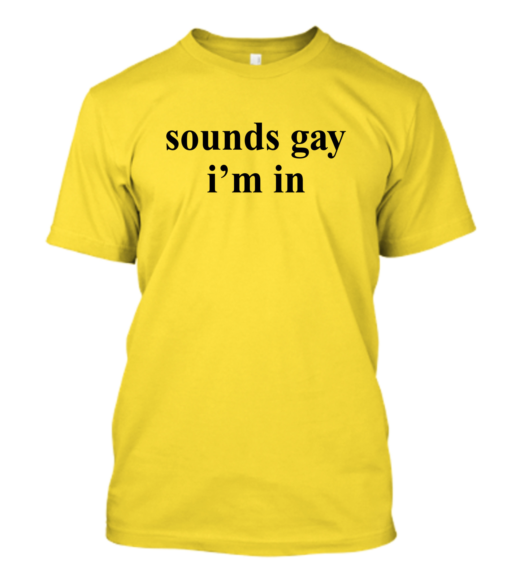 Sounds Gay I'm In SuperSarah T-Shirt
