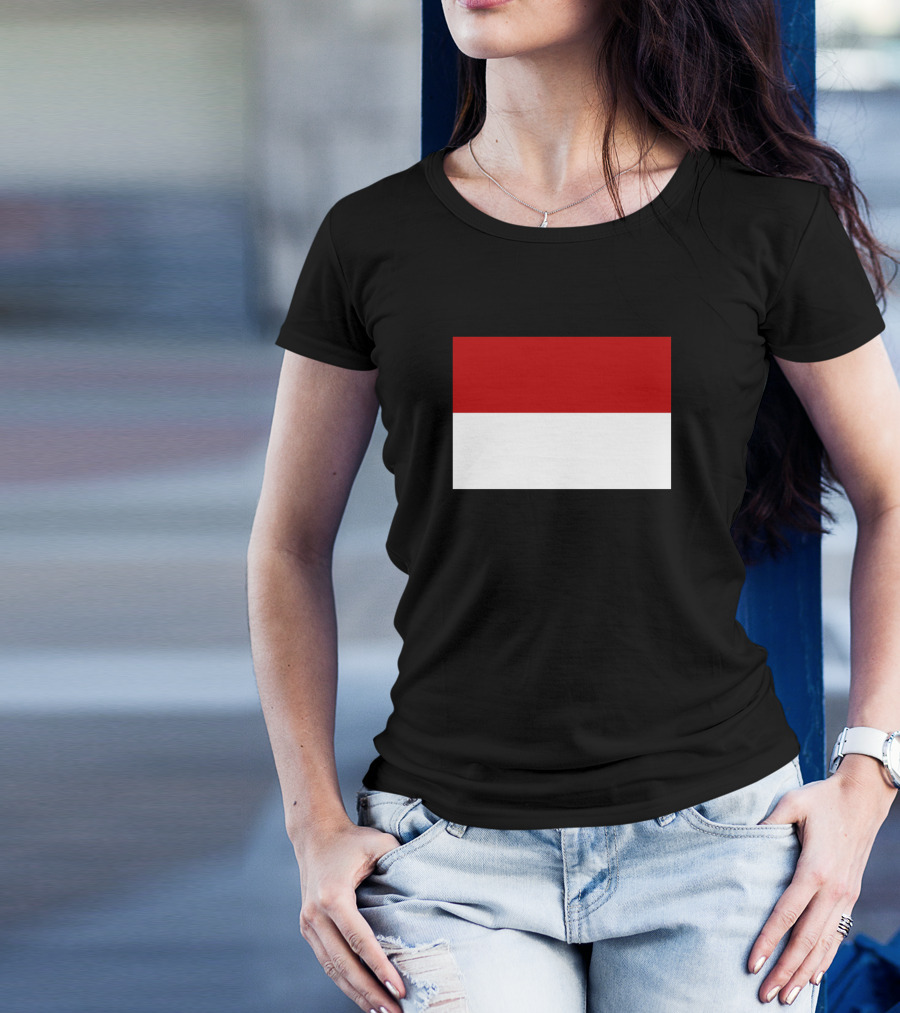 Monaco Flag Red And White Rectangle Icon T-Shirt