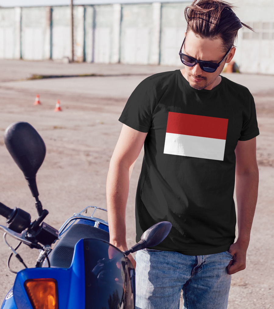 Monaco Flag Red And White Rectangle Icon T-Shirt