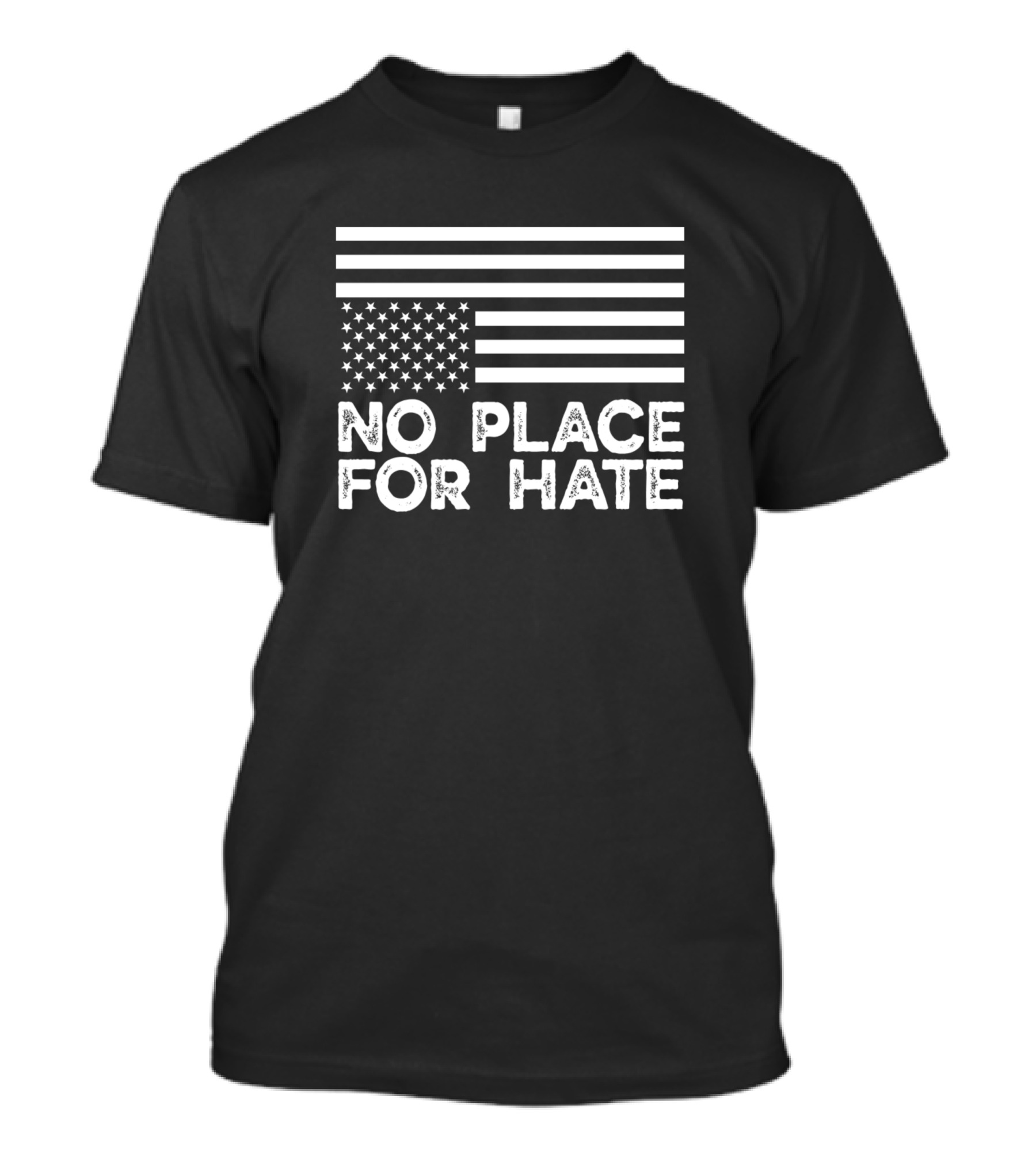 No Place For Hate Flag T-Shirt