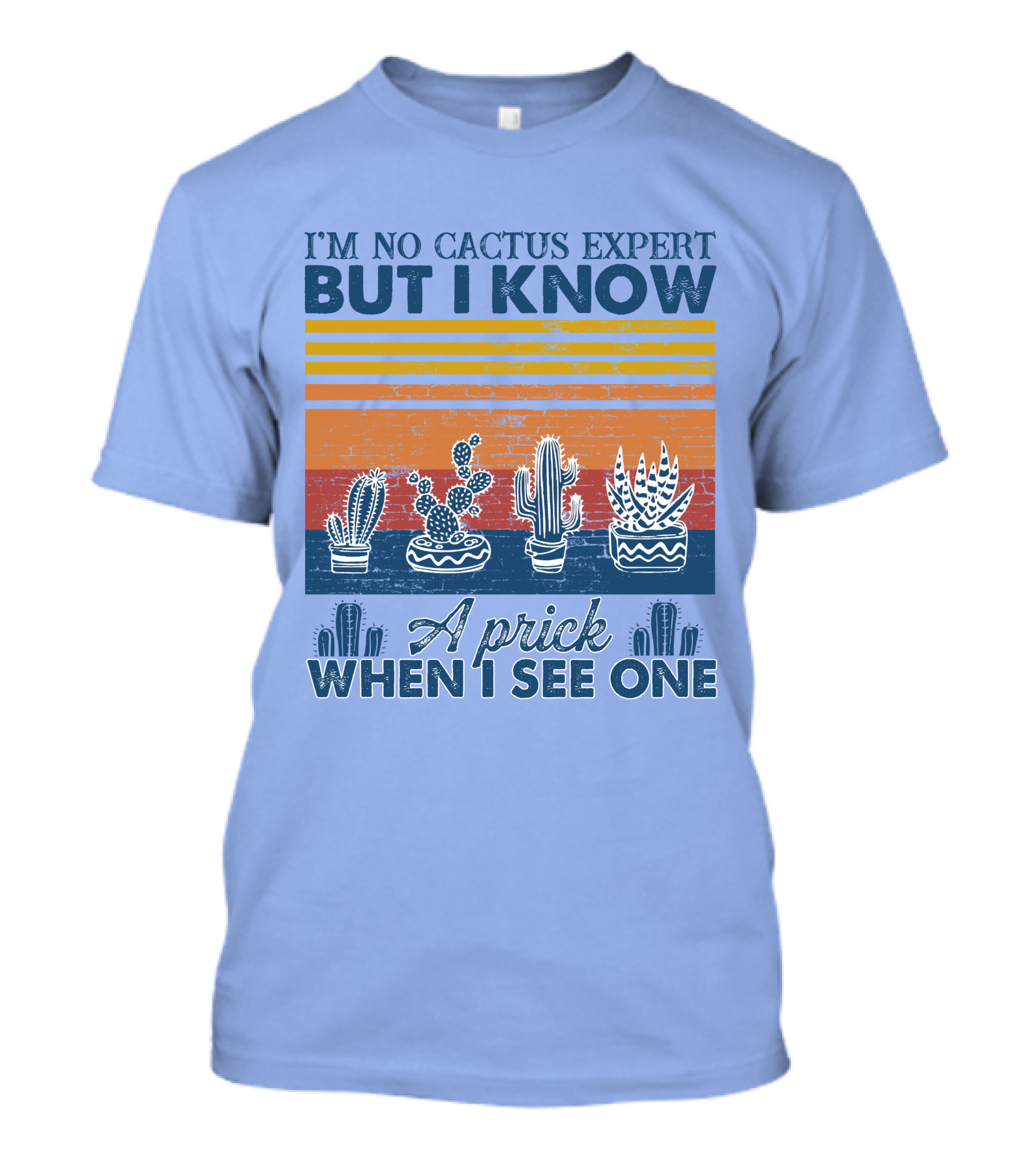 I'm No Cactus Expert But I Know A Prick When I See One Vintage Cactus Stripes T-Shirt
