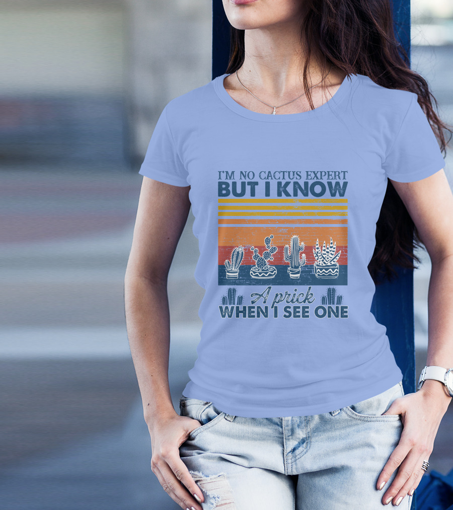 I'm No Cactus Expert But I Know A Prick When I See One Vintage Cactus Stripes T-Shirt