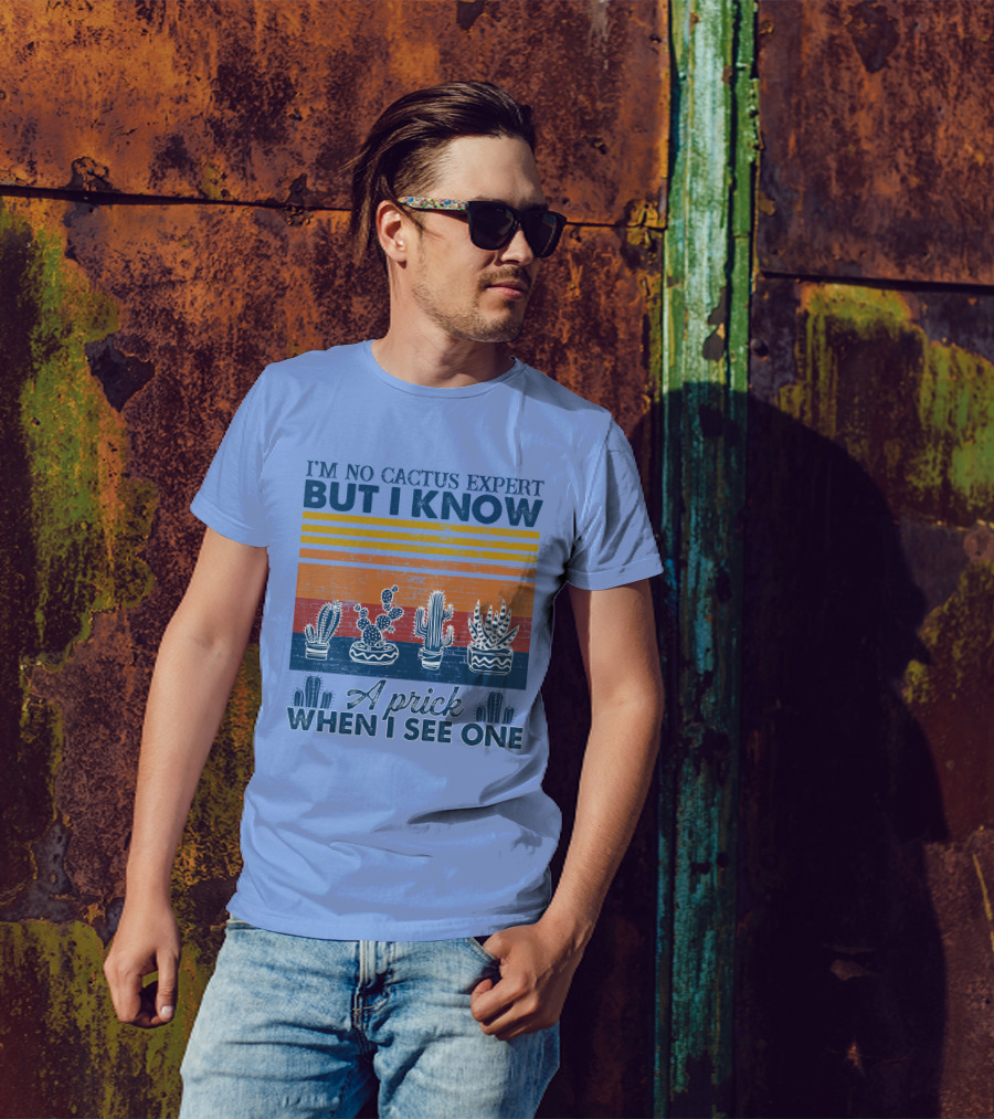 I'm No Cactus Expert But I Know A Prick When I See One Vintage Cactus Stripes T-Shirt