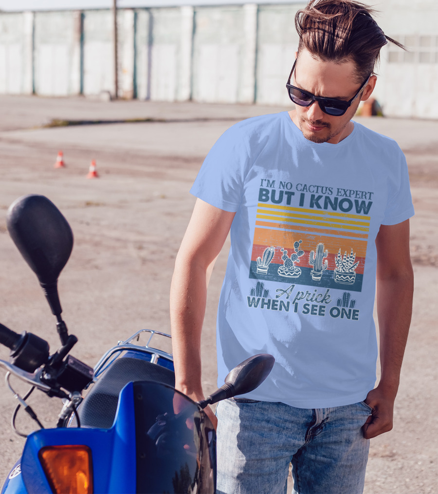 I'm No Cactus Expert But I Know A Prick When I See One Vintage Cactus Stripes T-Shirt