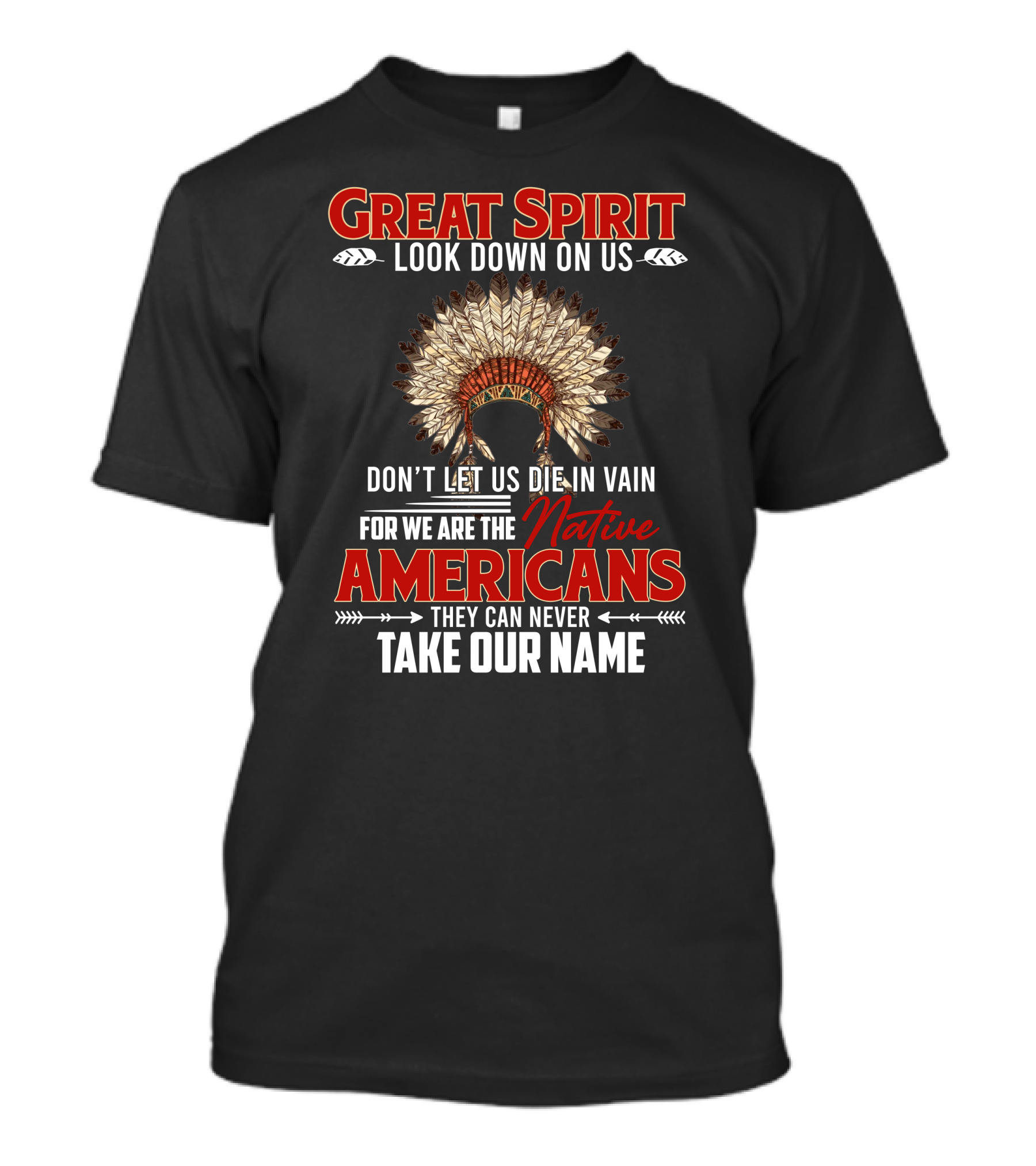 Great Spirit Look Down On Us Native Americans They Can Never Take Our Name T-Shirt