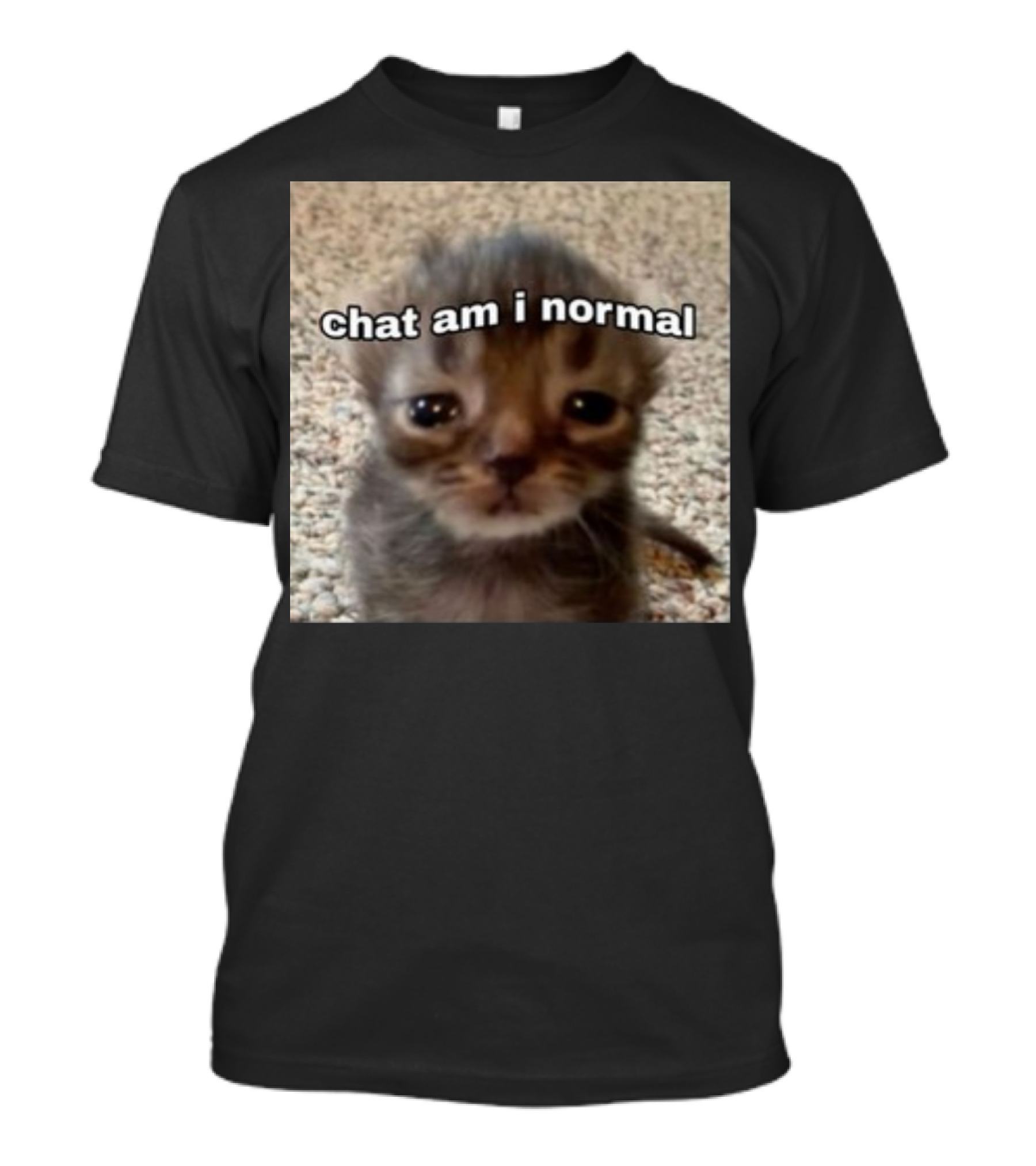 Cringeytees Chat Am I Normal Kitten Meme T-Shirt