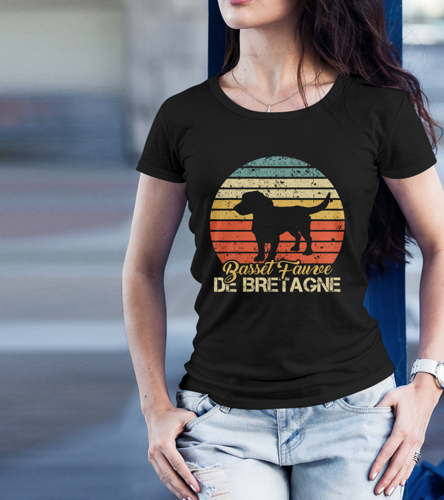 Retro Stripes Basset Fauve De Bretagne Silhouette Vintage T-Shirt