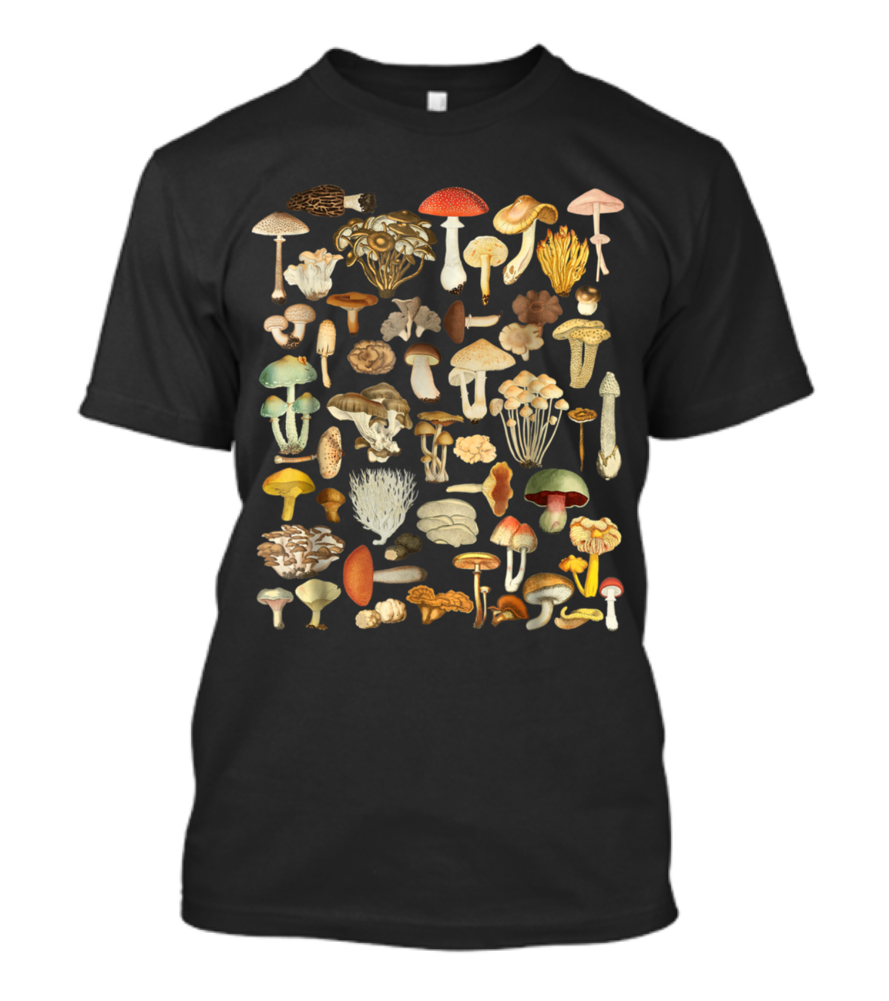 Mushroom Mycology Fungi Foraging Mushroom Whisperer Vintage Fungi Collection T-Shirt
