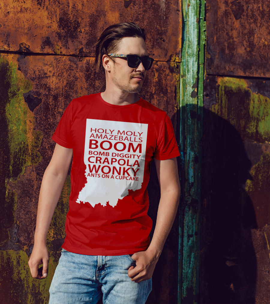 Holy Moly Amazeballs Boom Bomb Diggity Crapola Wonky Ants On A Cupcake T-Shirt